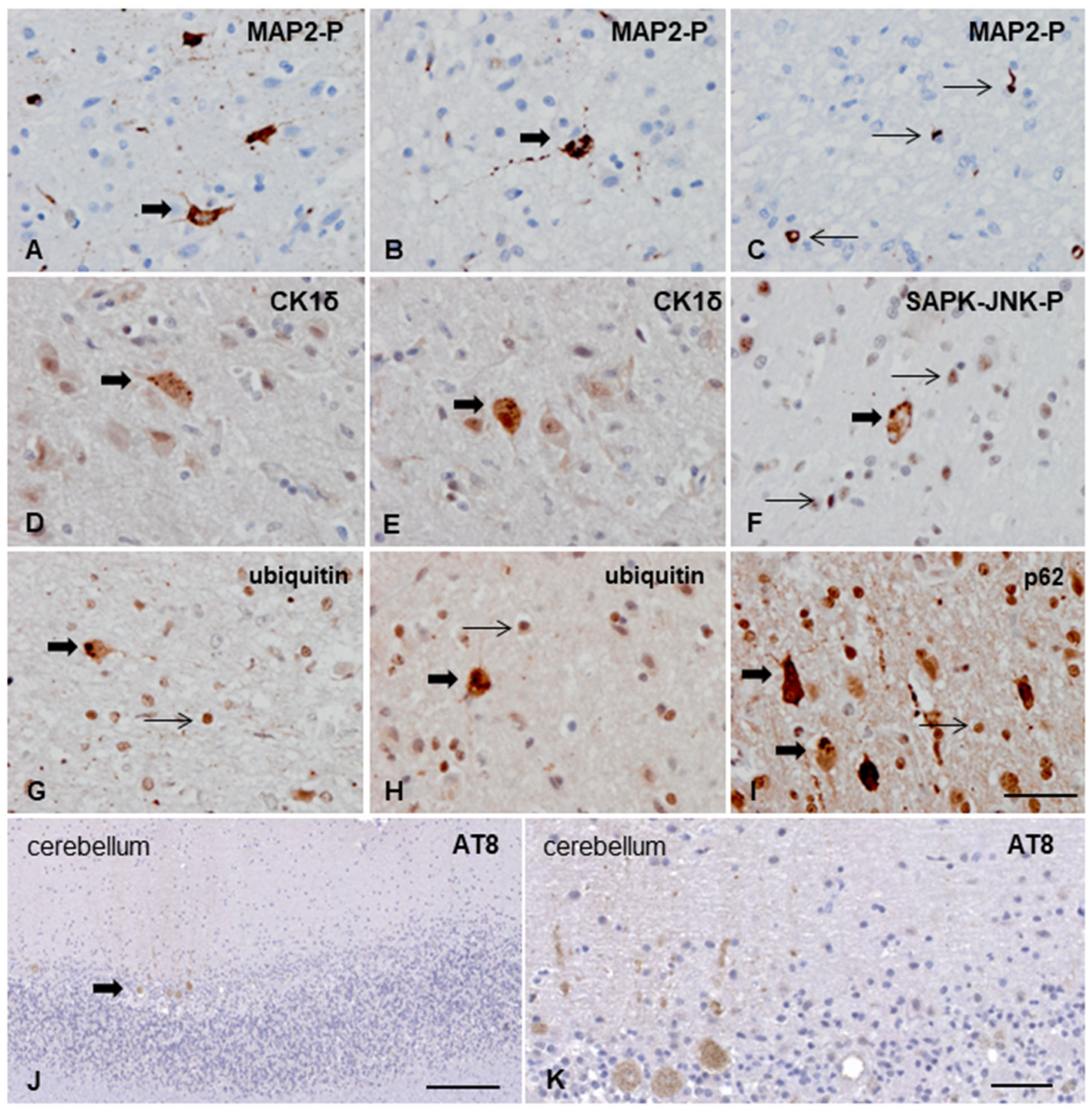 Animals 13 02985 g005