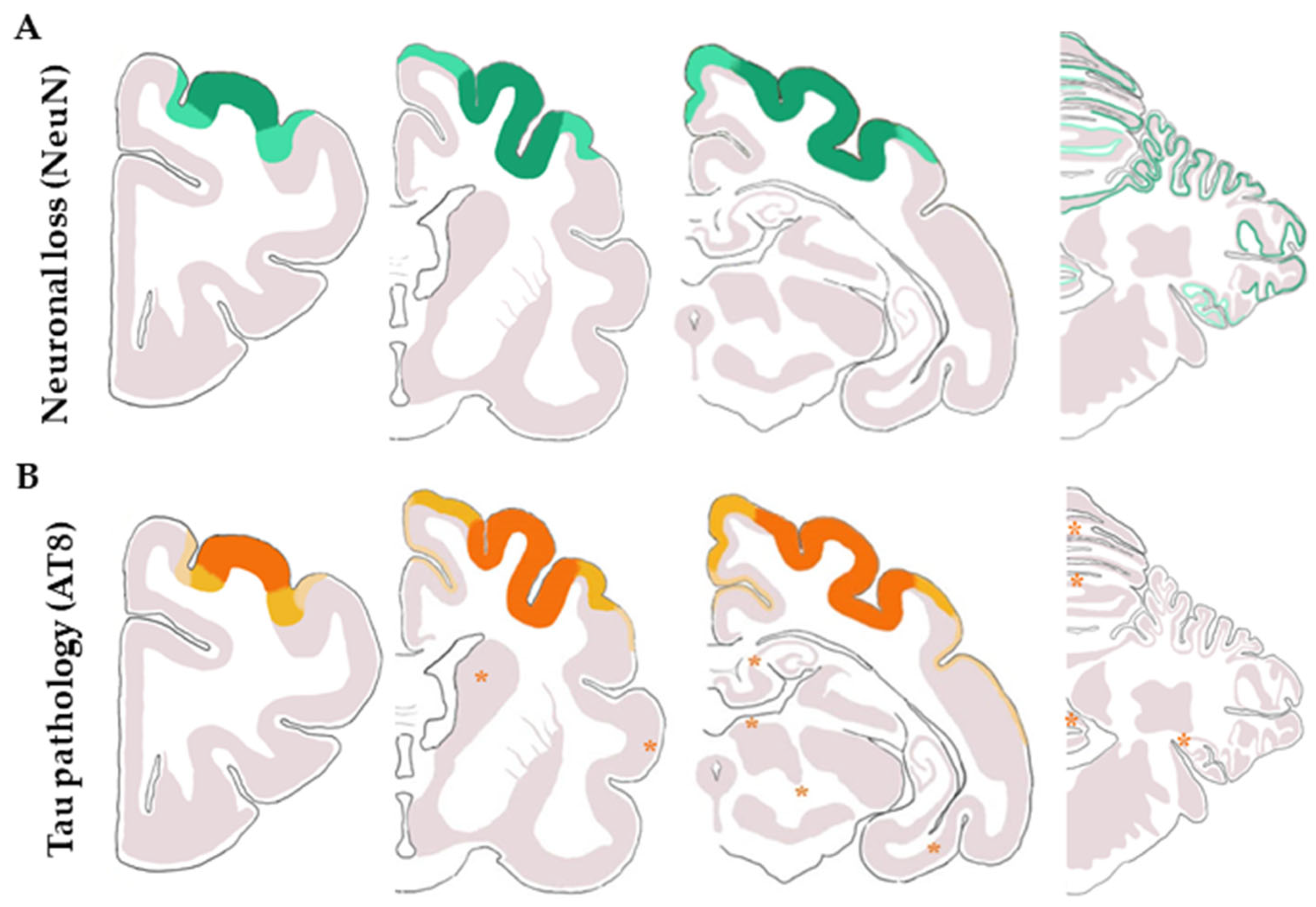 Animals 13 02985 g006