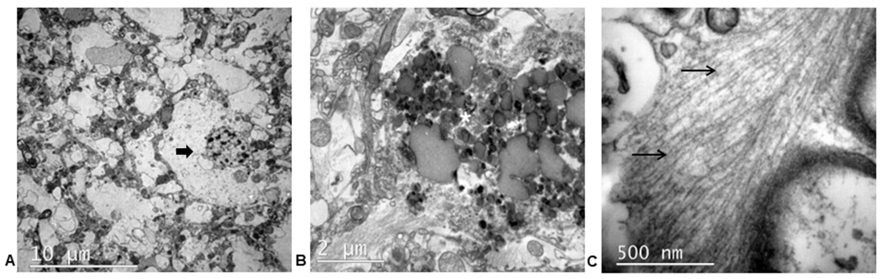 Animals 13 02985 g007