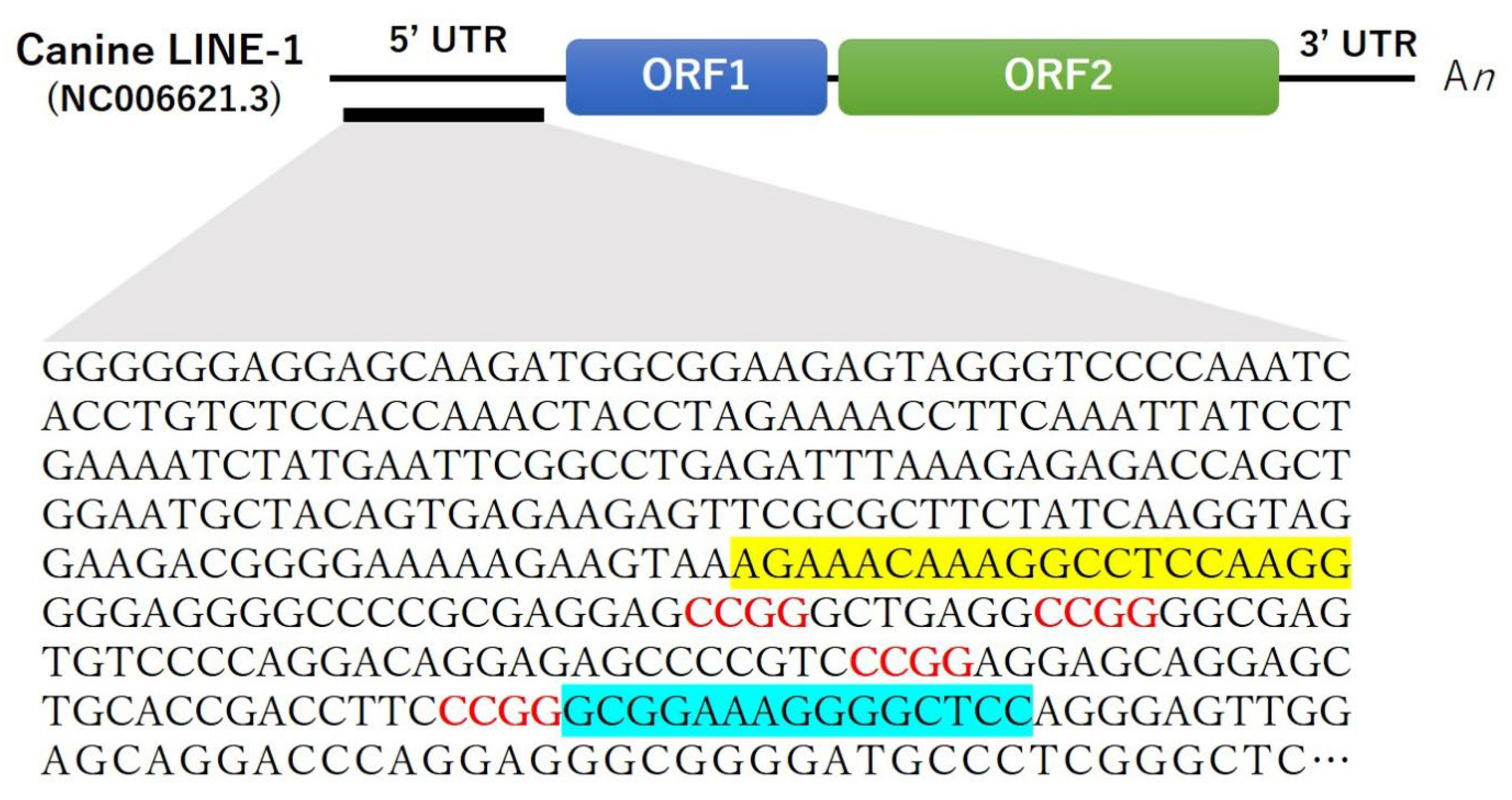 Animals 13 02987 g001 Animals 13 02987 g001