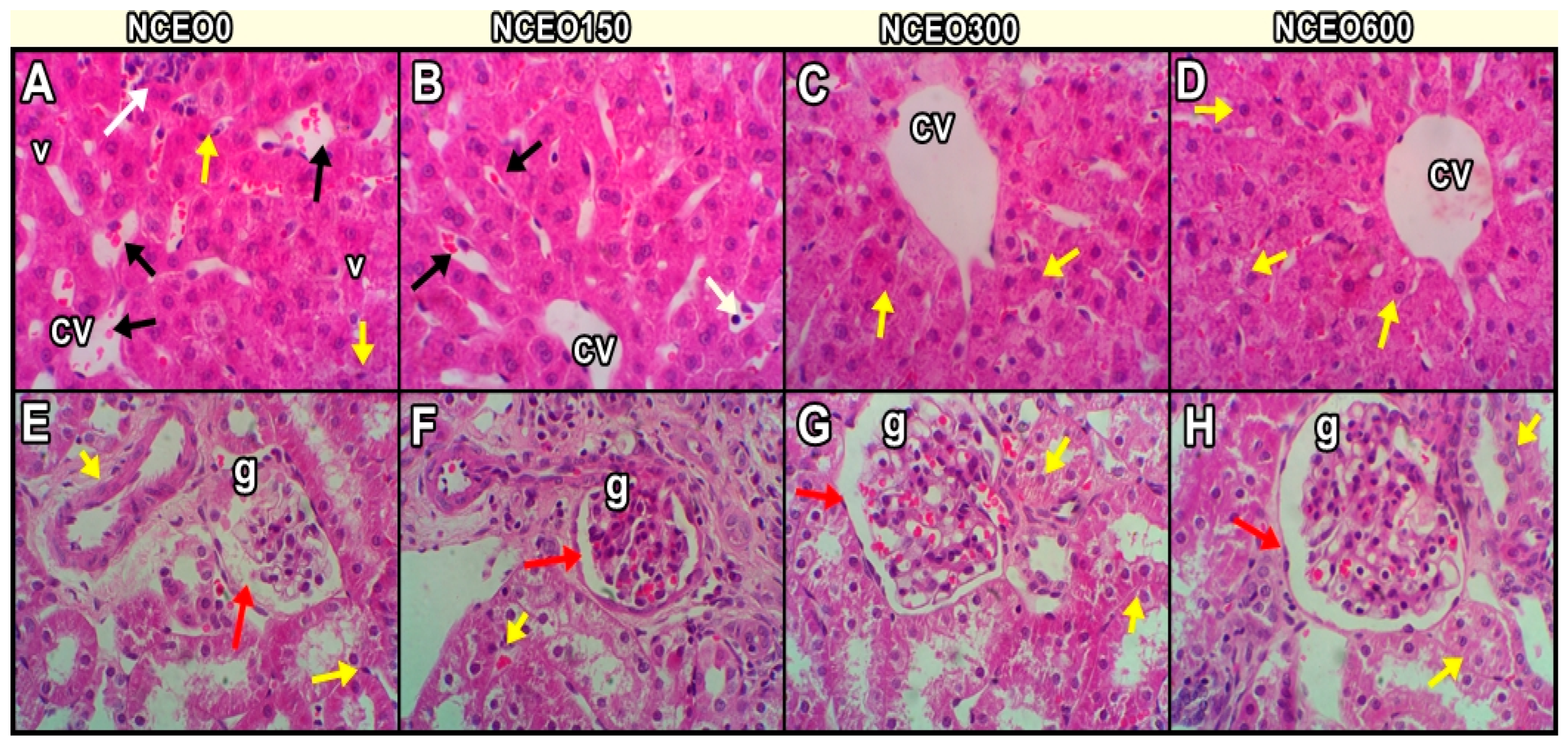 Animals 13 02990 g003