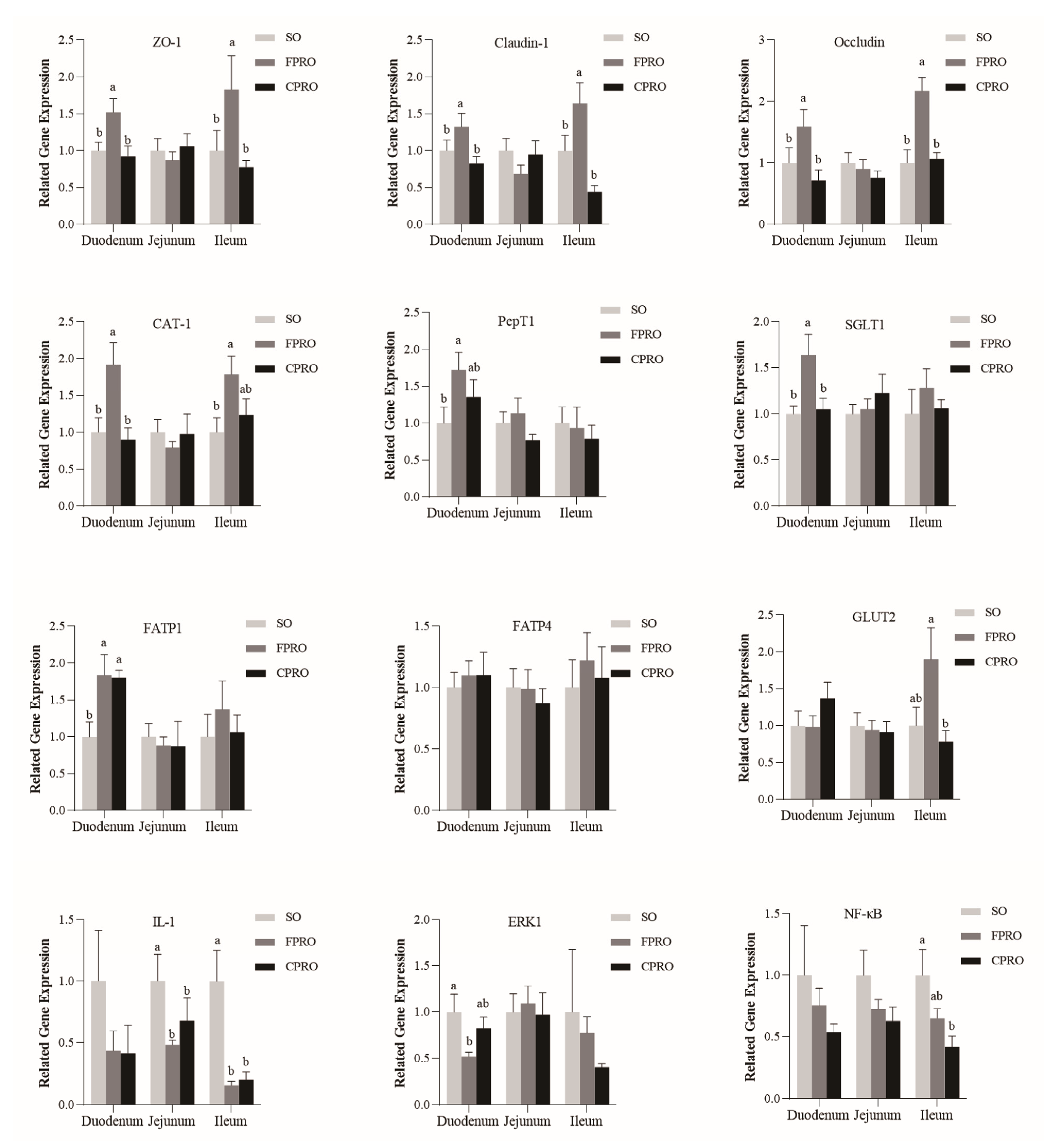 Animals 13 03006 g002