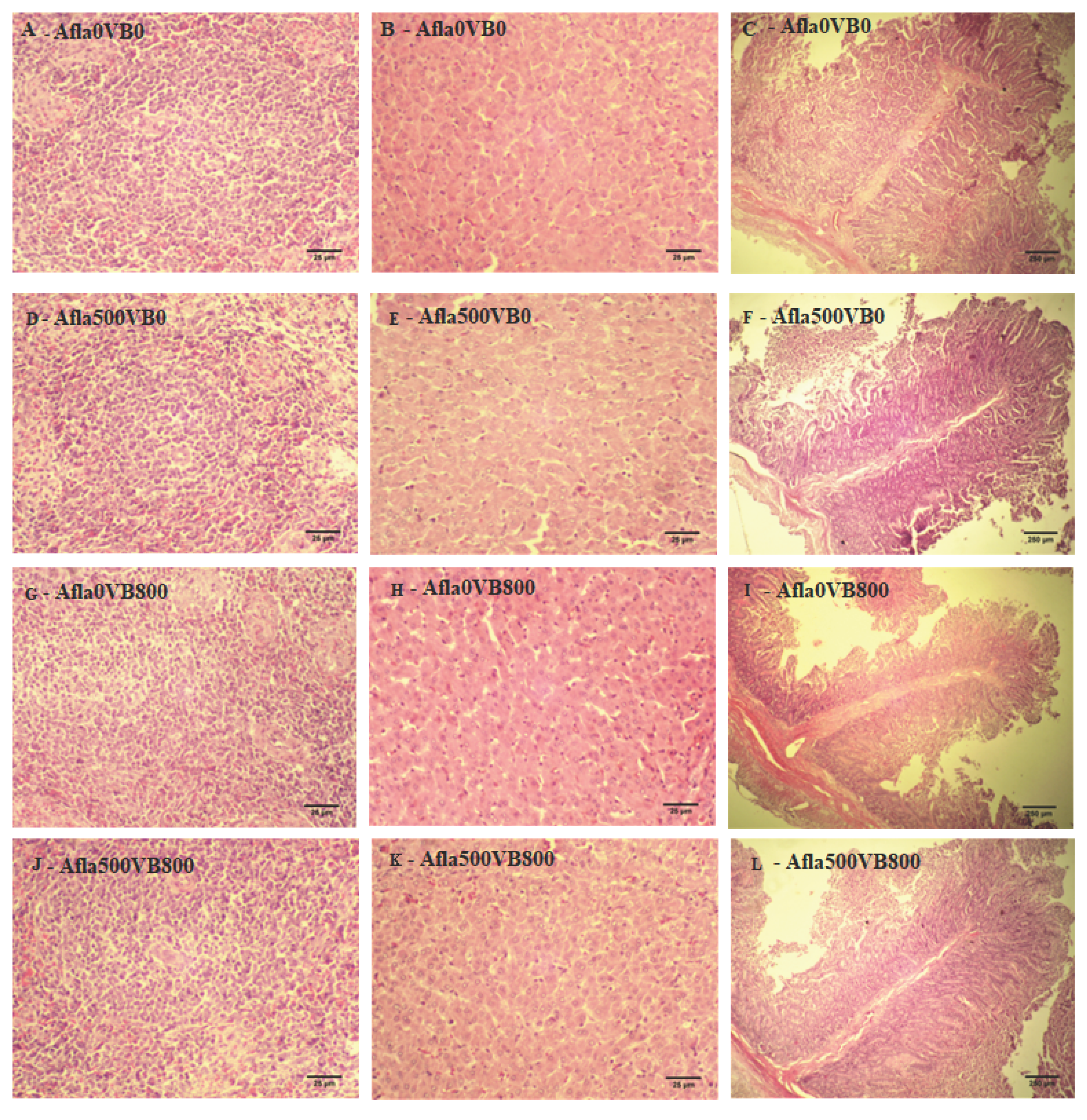 Animals 13 03010 g002