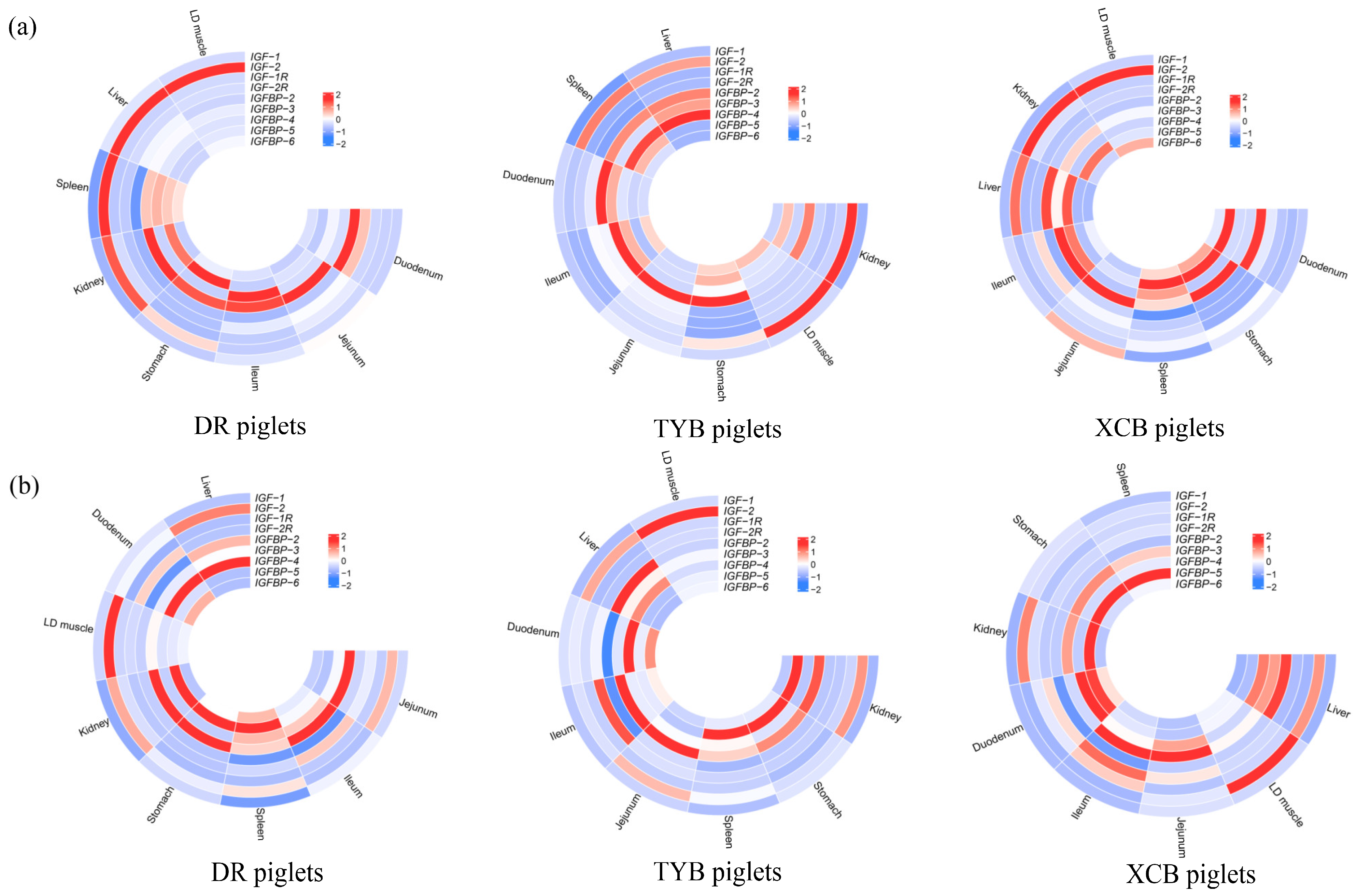 Animals 13 03011 g001