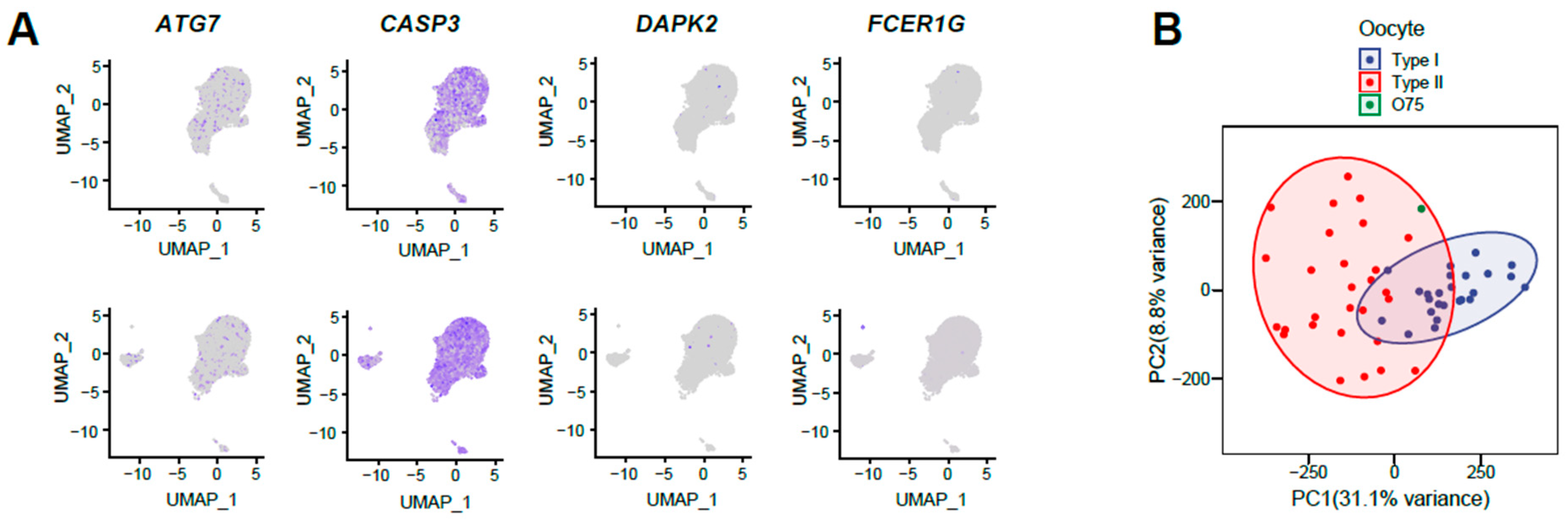 Animals 13 03019 g002
