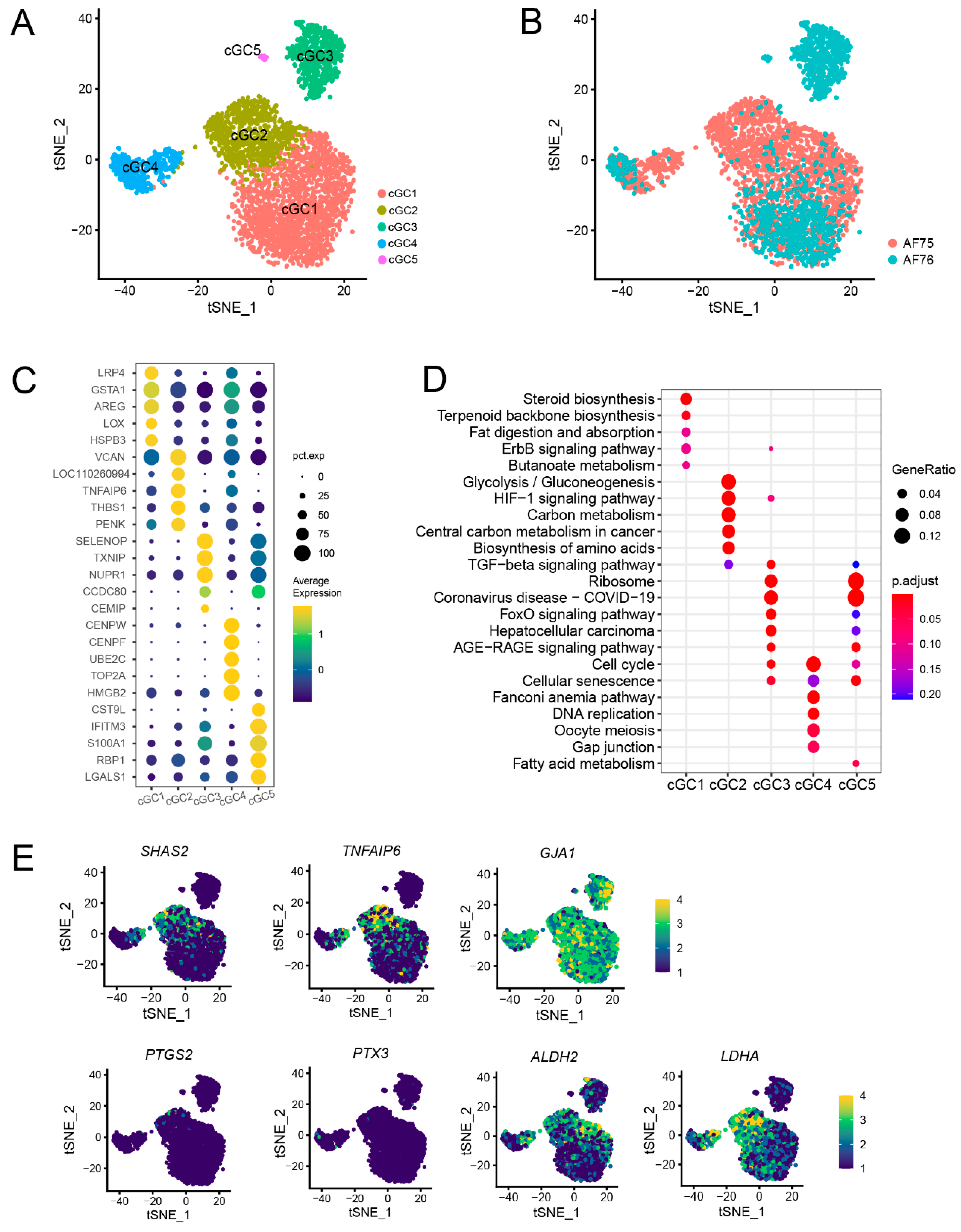 Animals 13 03019 g004