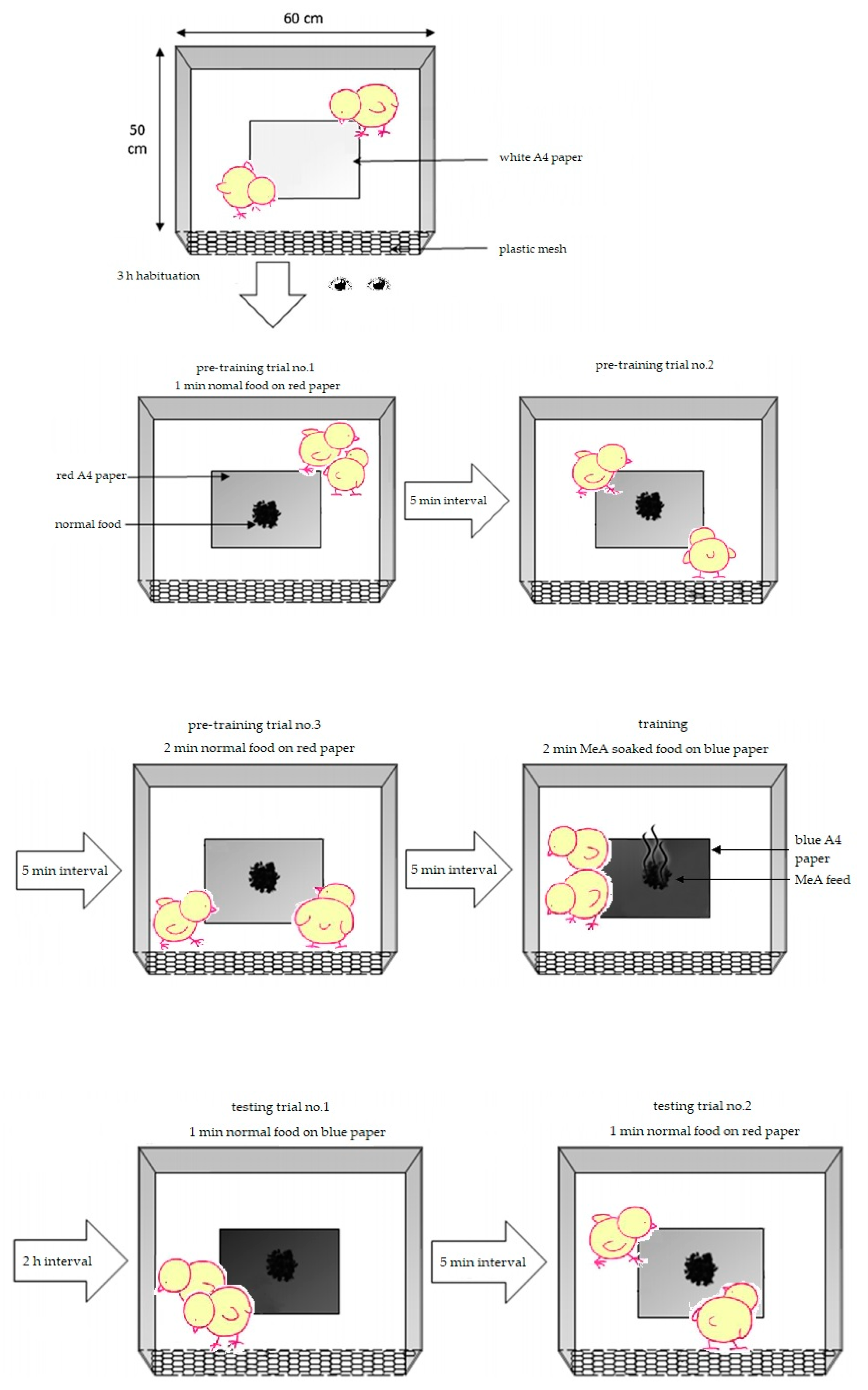 Animals 13 03022 g001