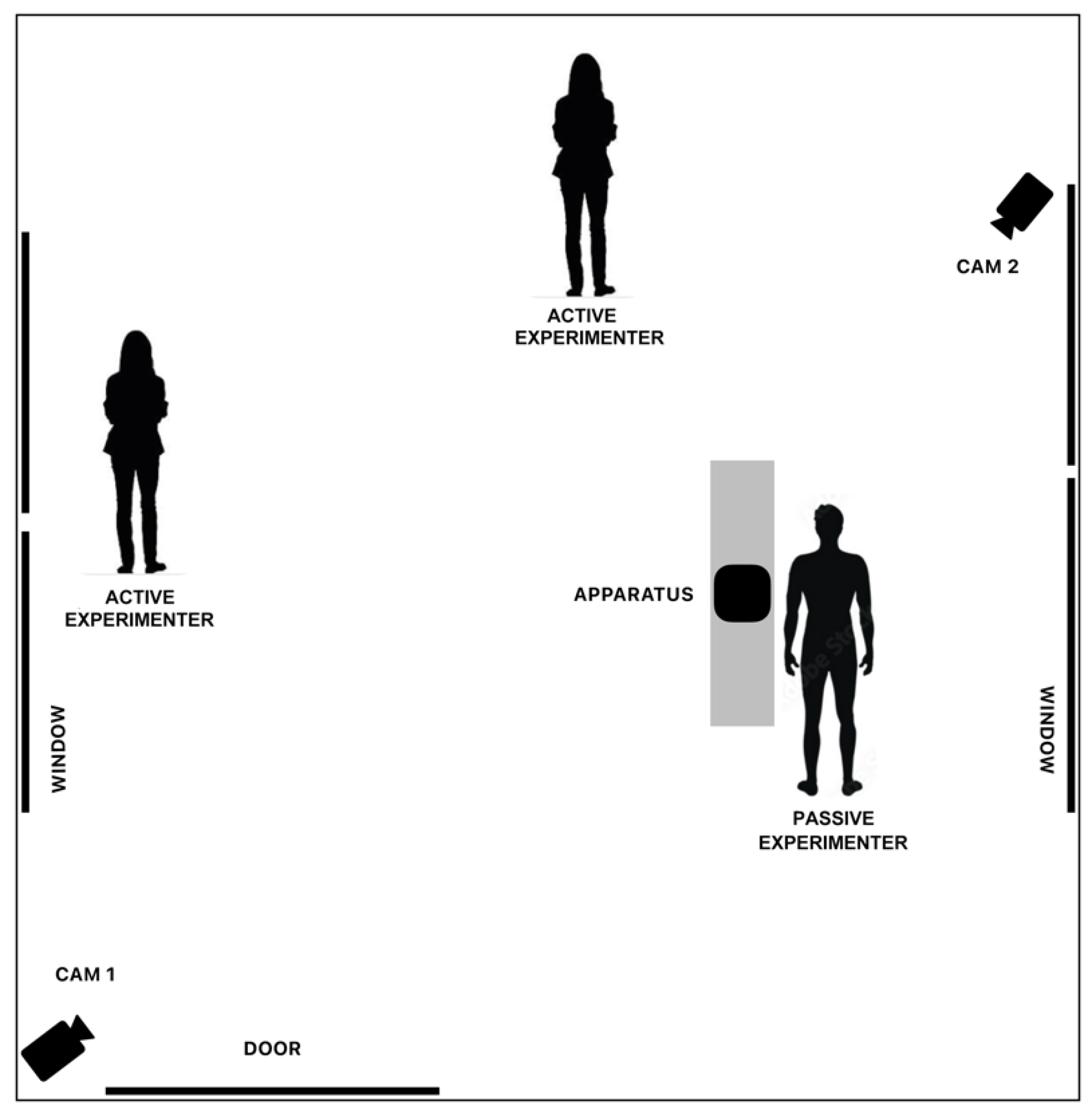 Animals 13 03027 g001