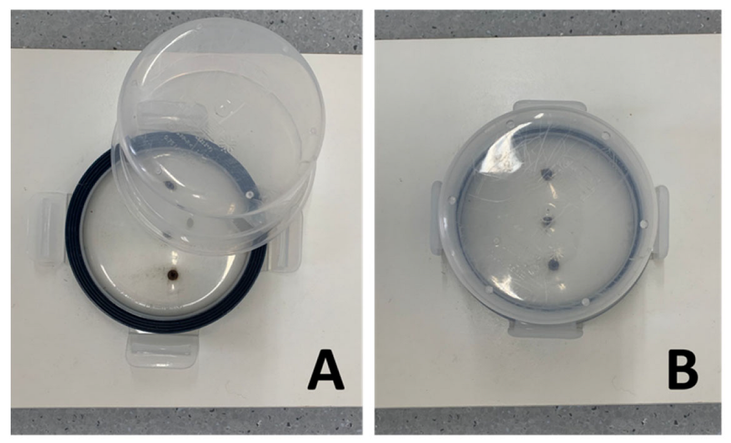 Animals 13 03027 g002