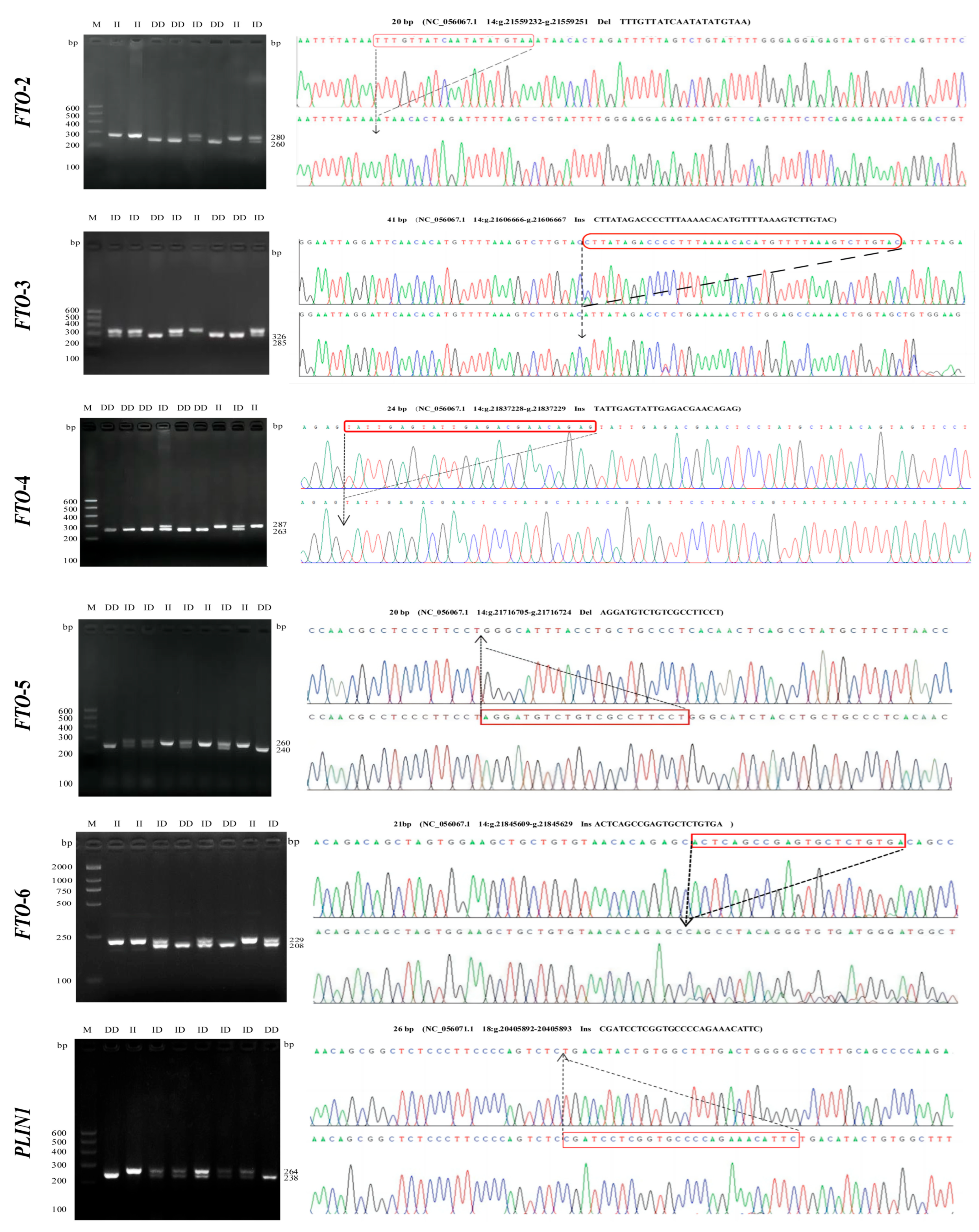 Animals 13 03032 g001