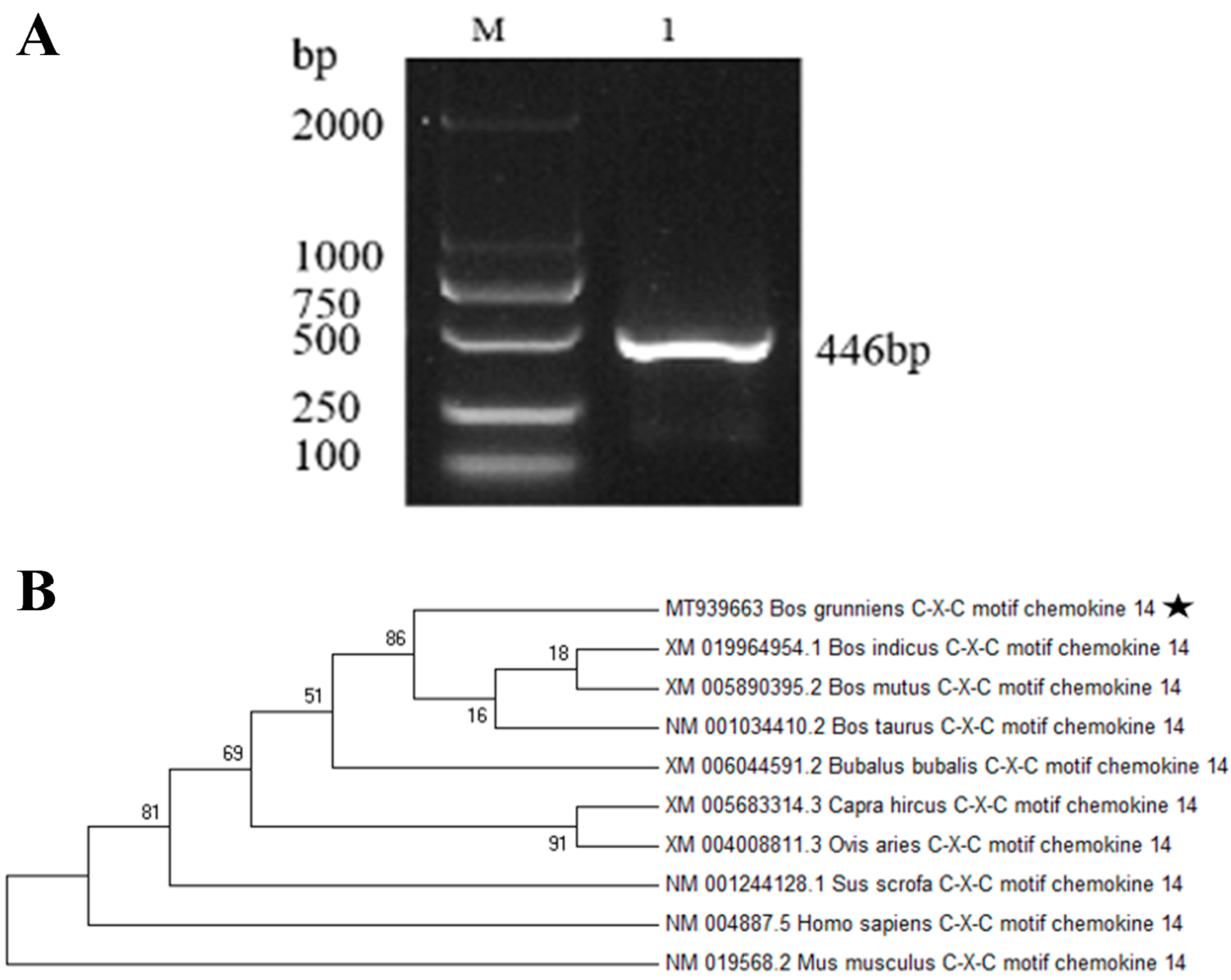 Animals 13 03036 g001