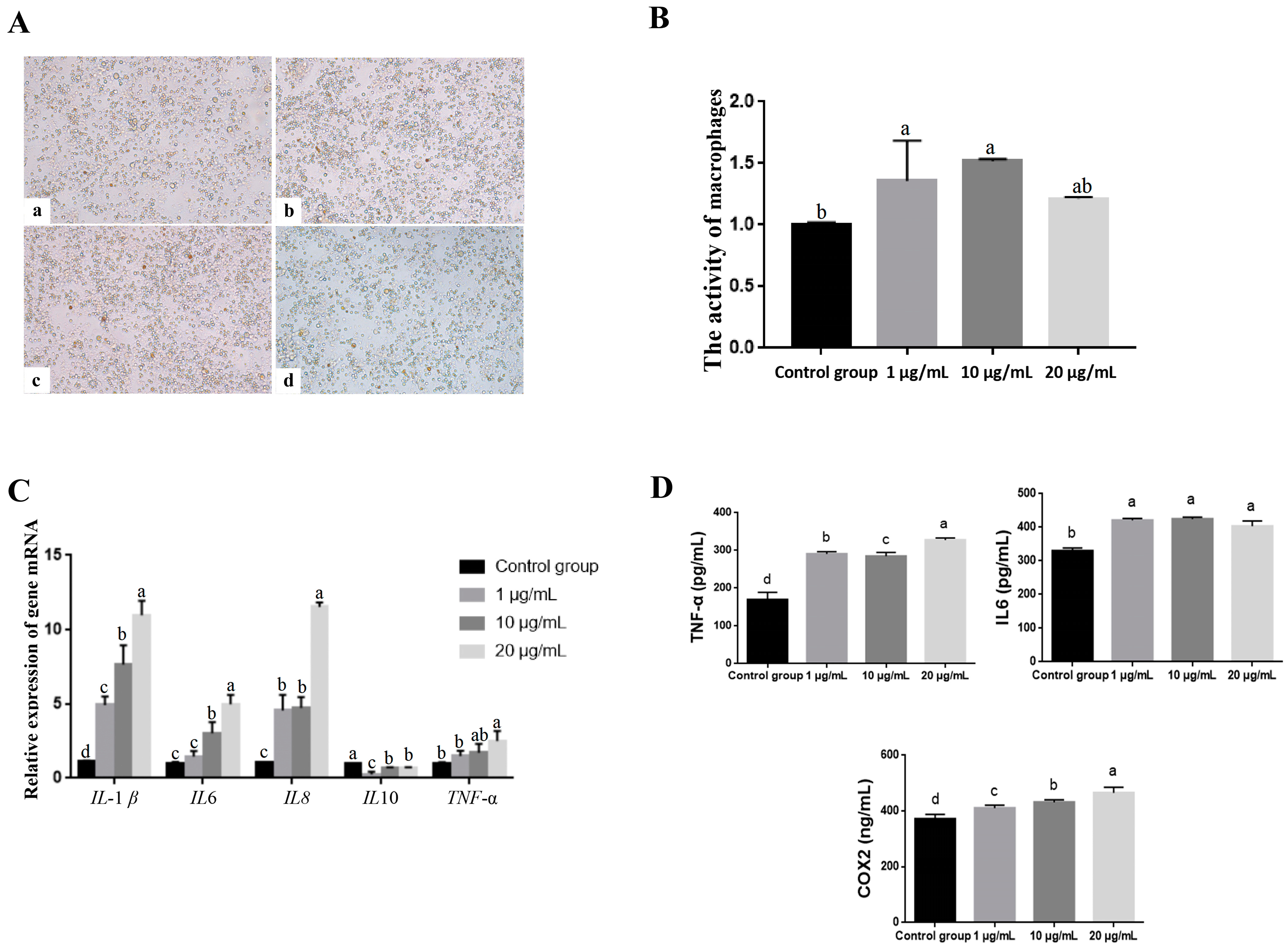 Animals 13 03036 g003
