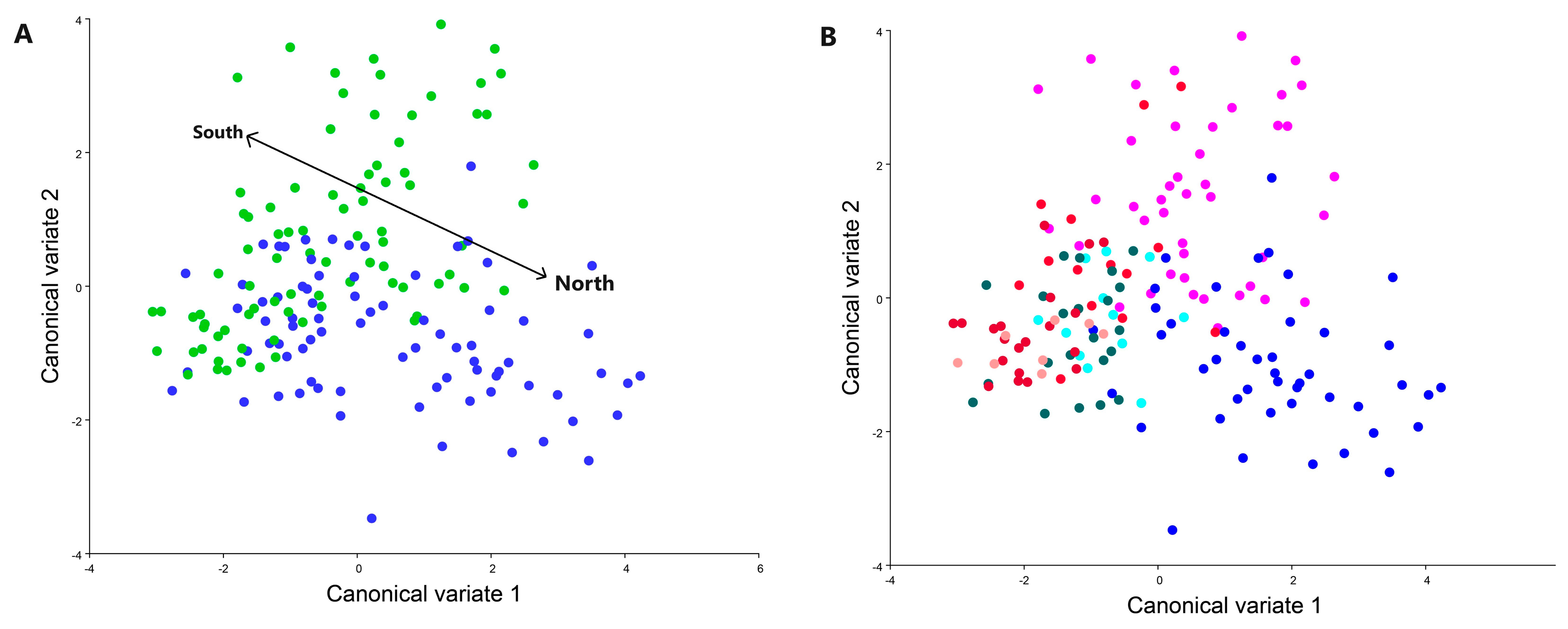 Animals 13 03044 g004