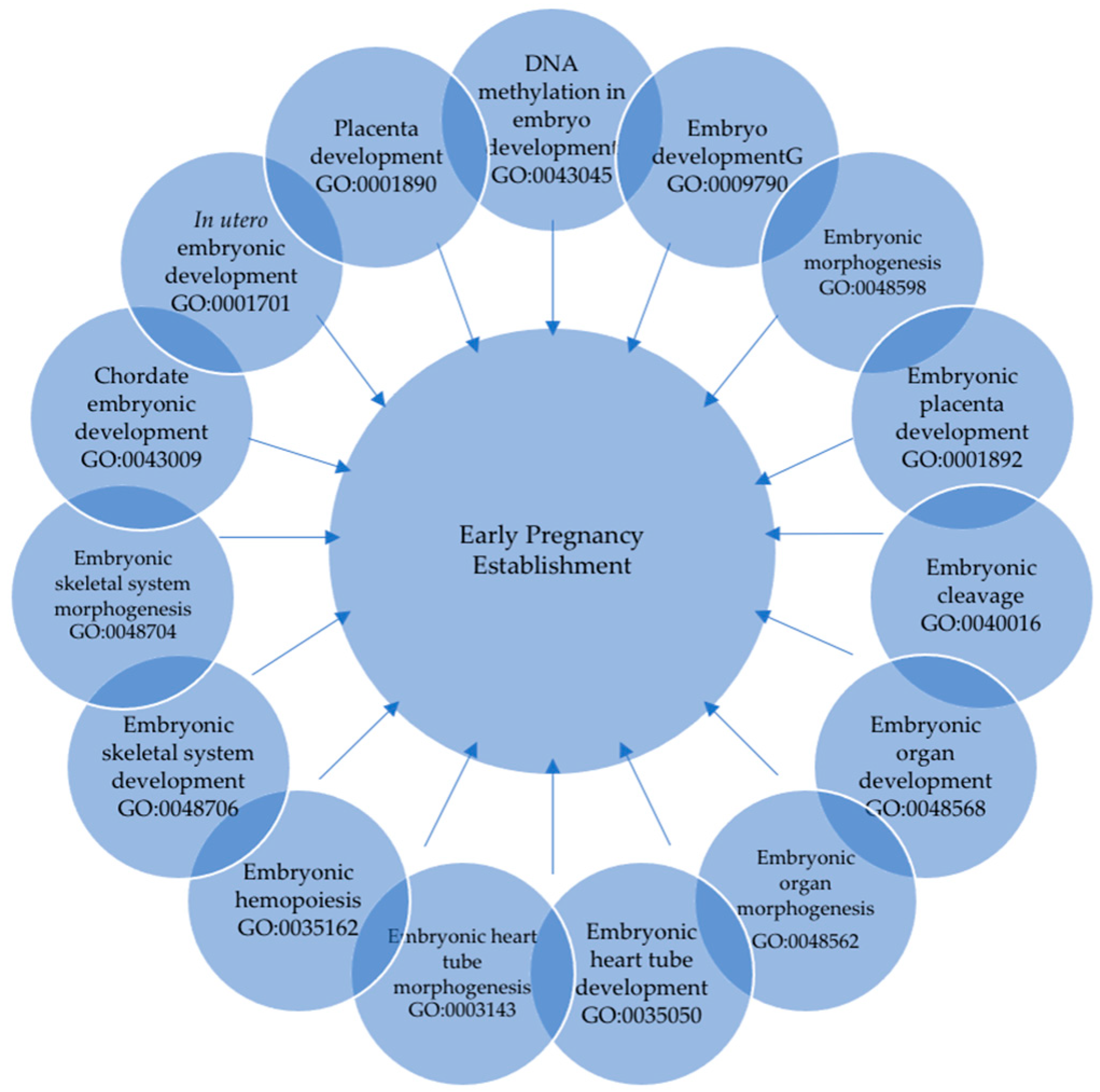 Animals 13 03052 g008 Animals 13 03052 g008