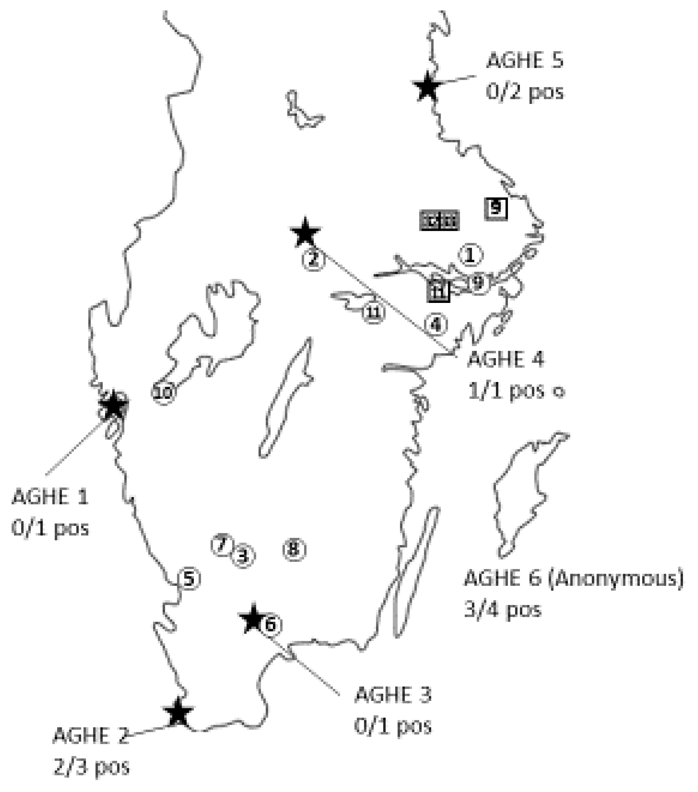 Animals 13 03055 g001