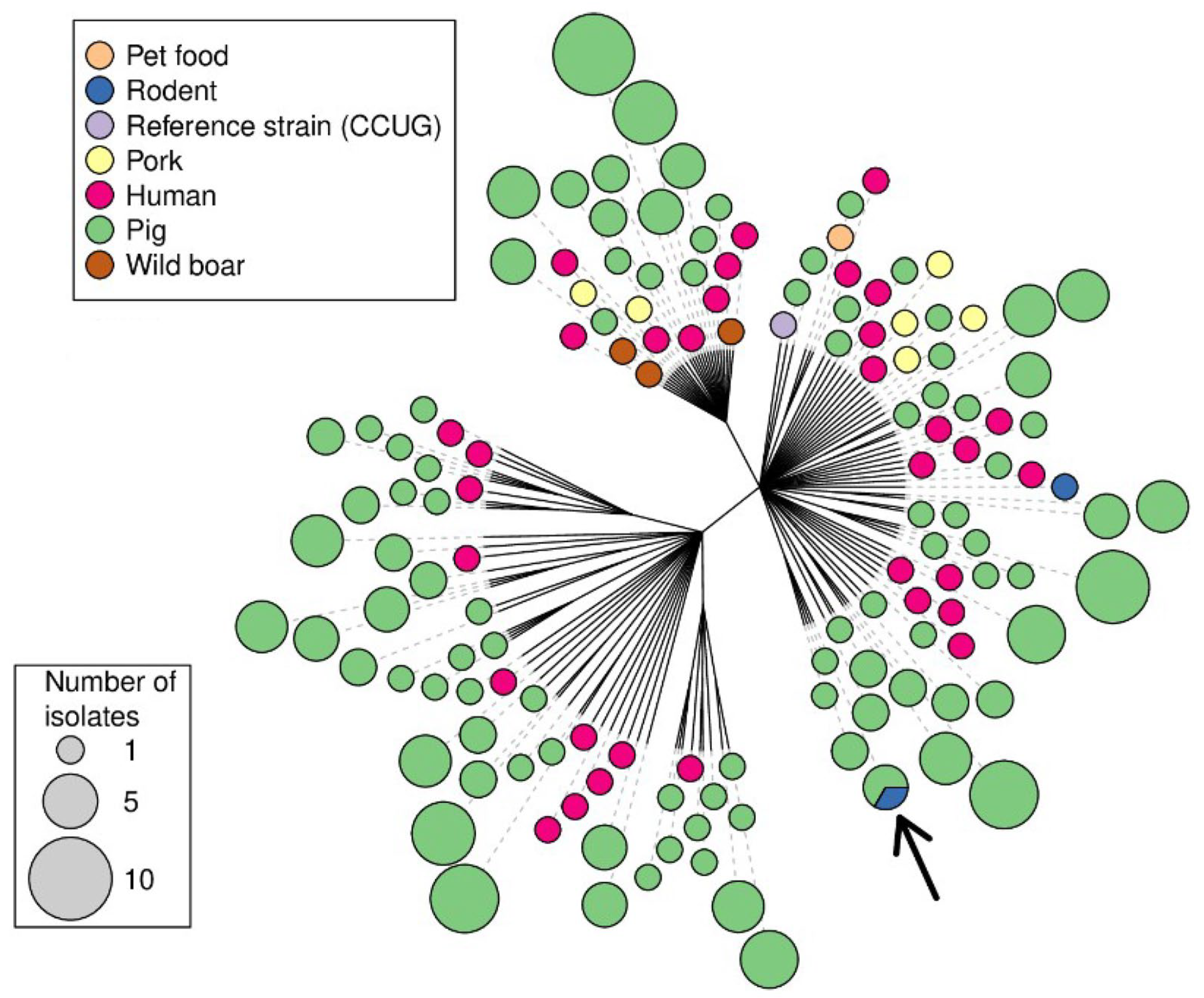Animals 13 03055 g003