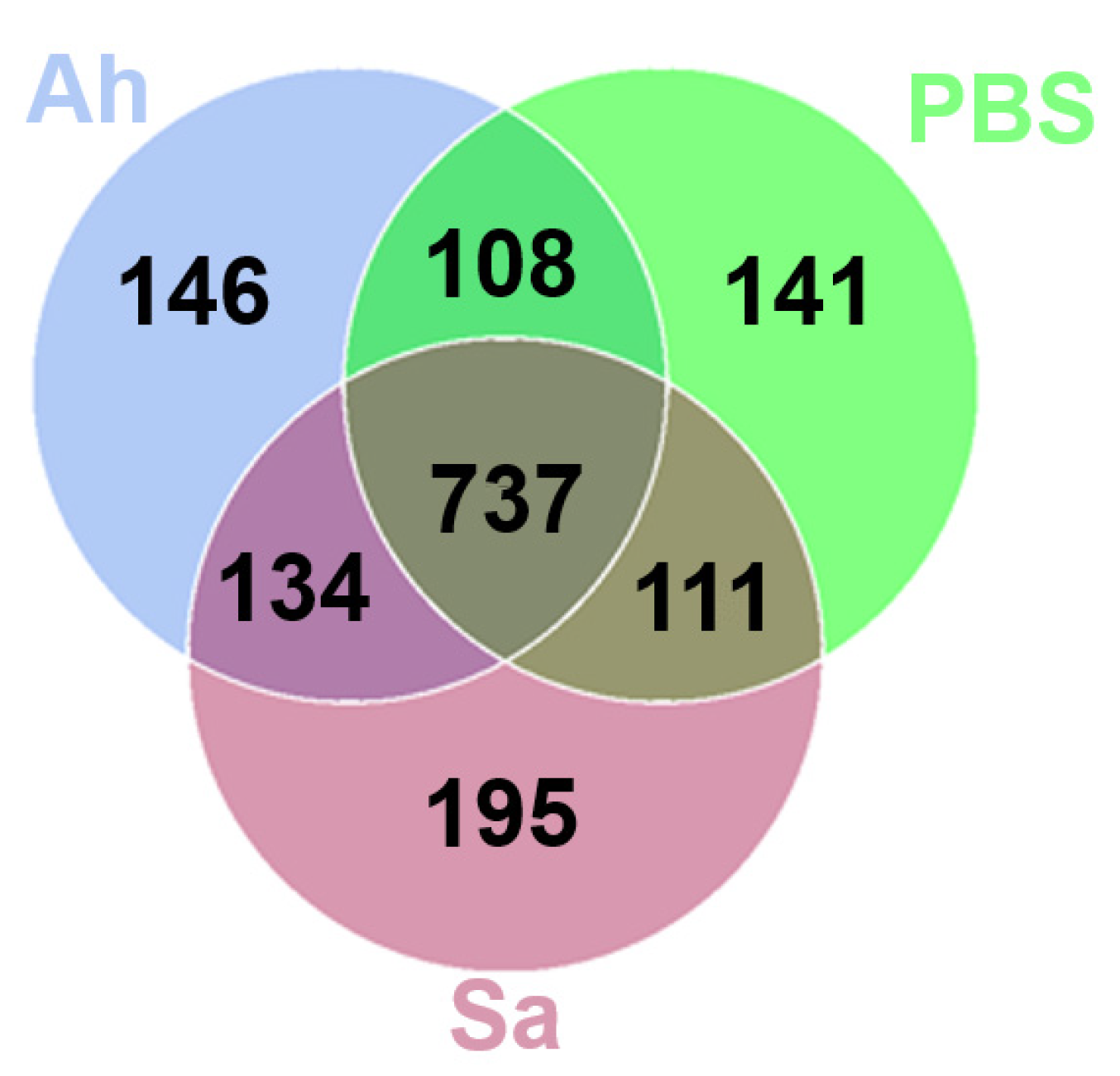 Animals 13 03058 g002