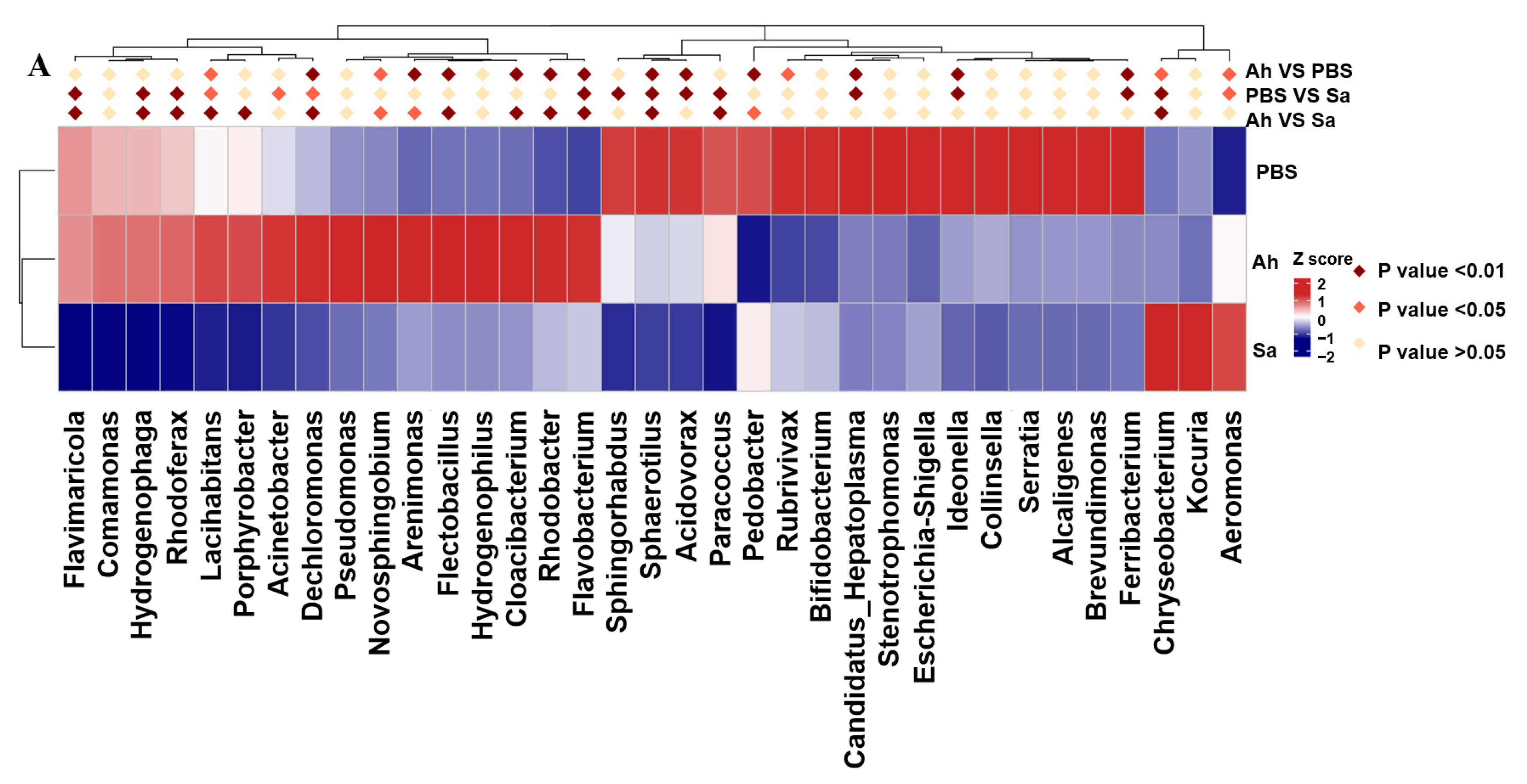 Animals 13 03058 g003a