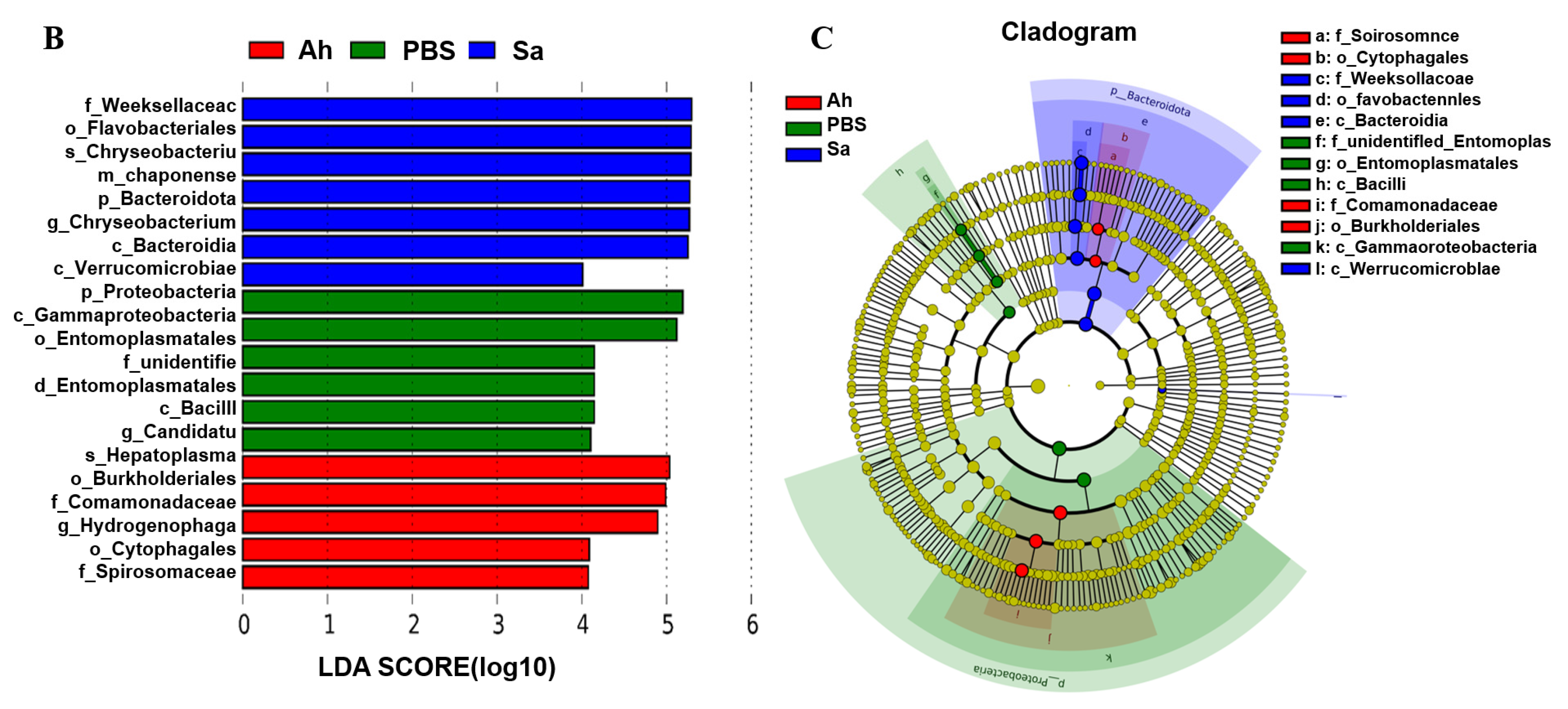Animals 13 03058 g003b