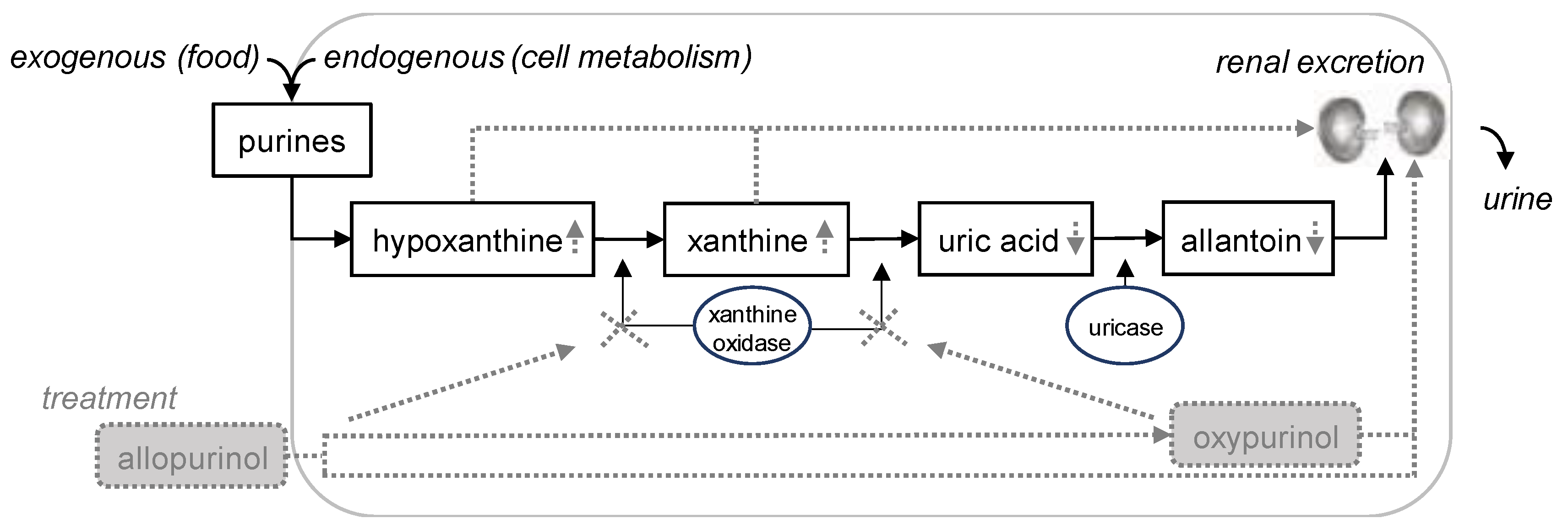 Animals 13 03060 g001