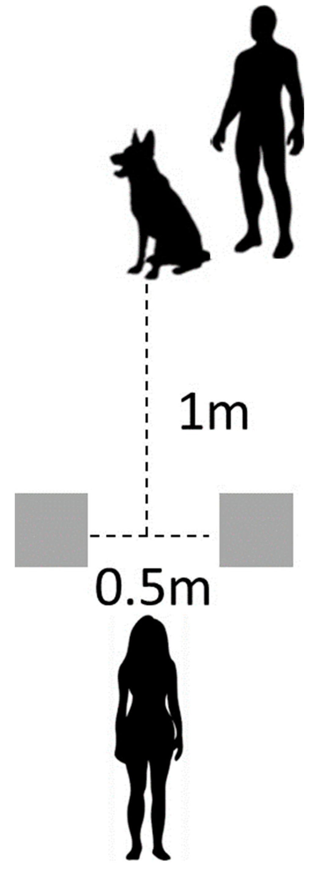 Animals 13 03073 g001