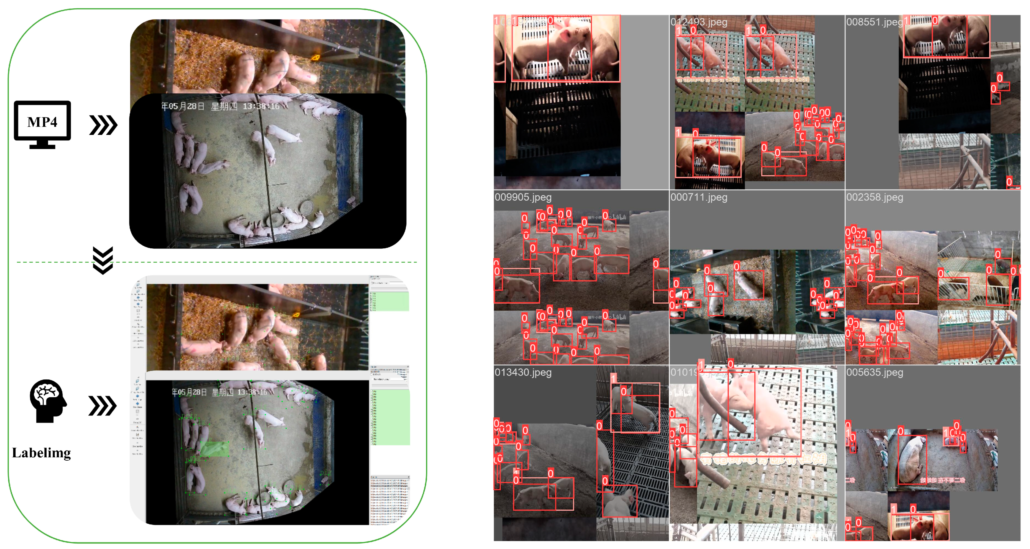 Animals 13 03074 g002