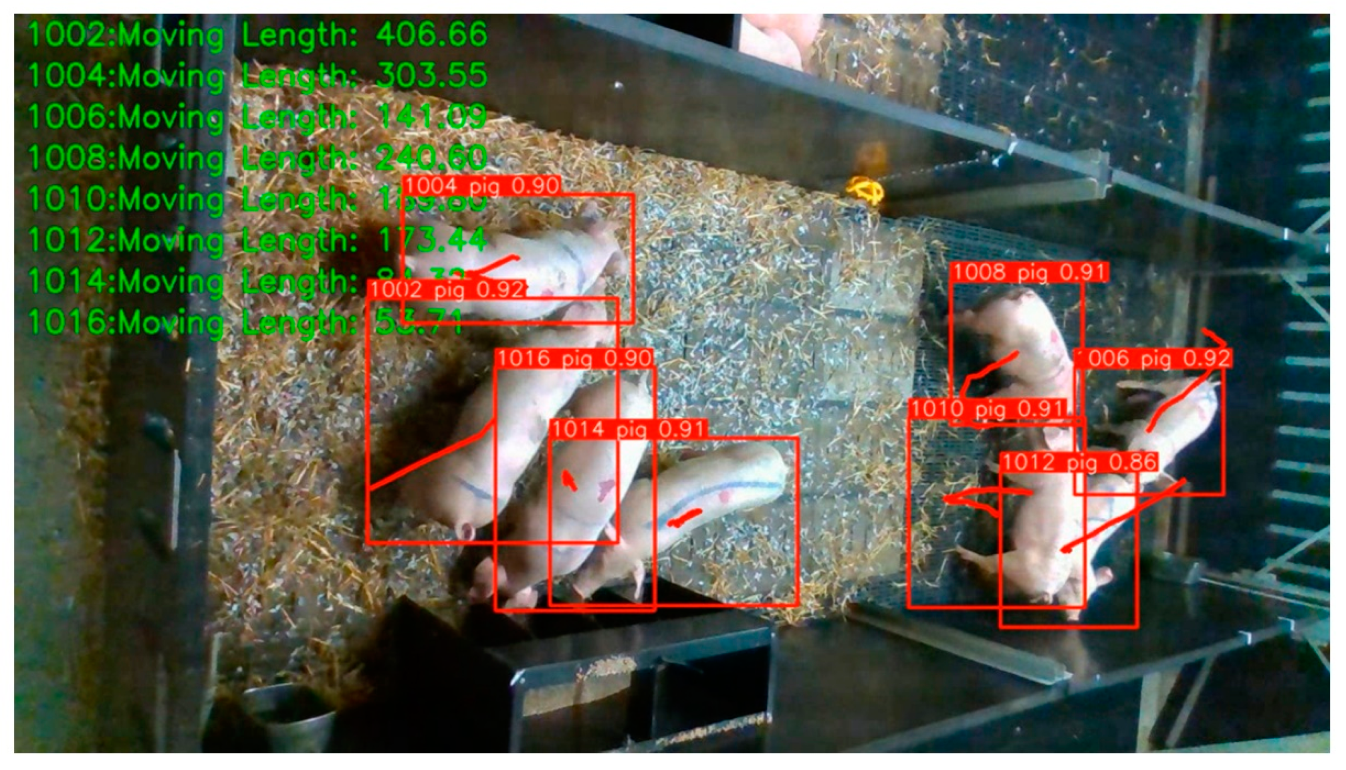 Animals 13 03074 g006