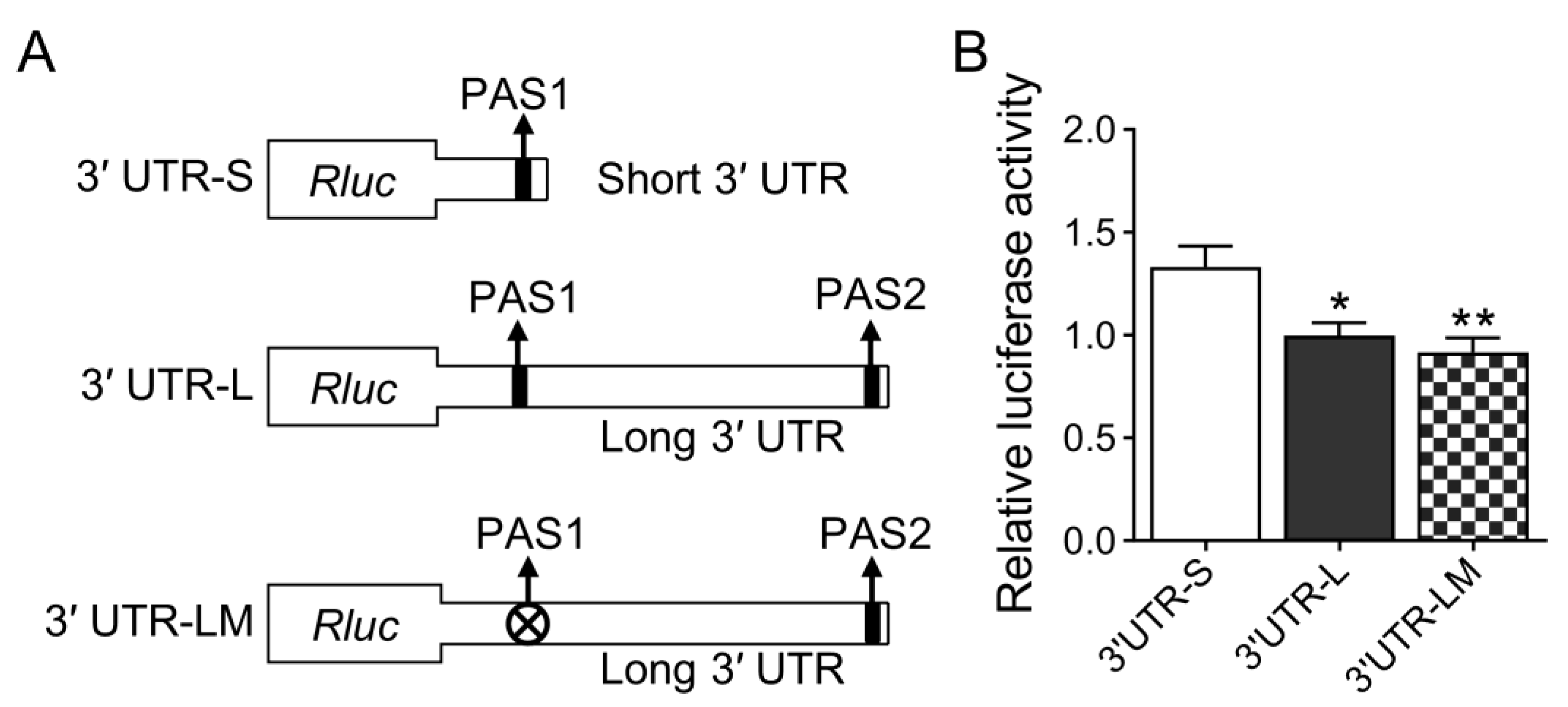 Animals 13 03075 g002