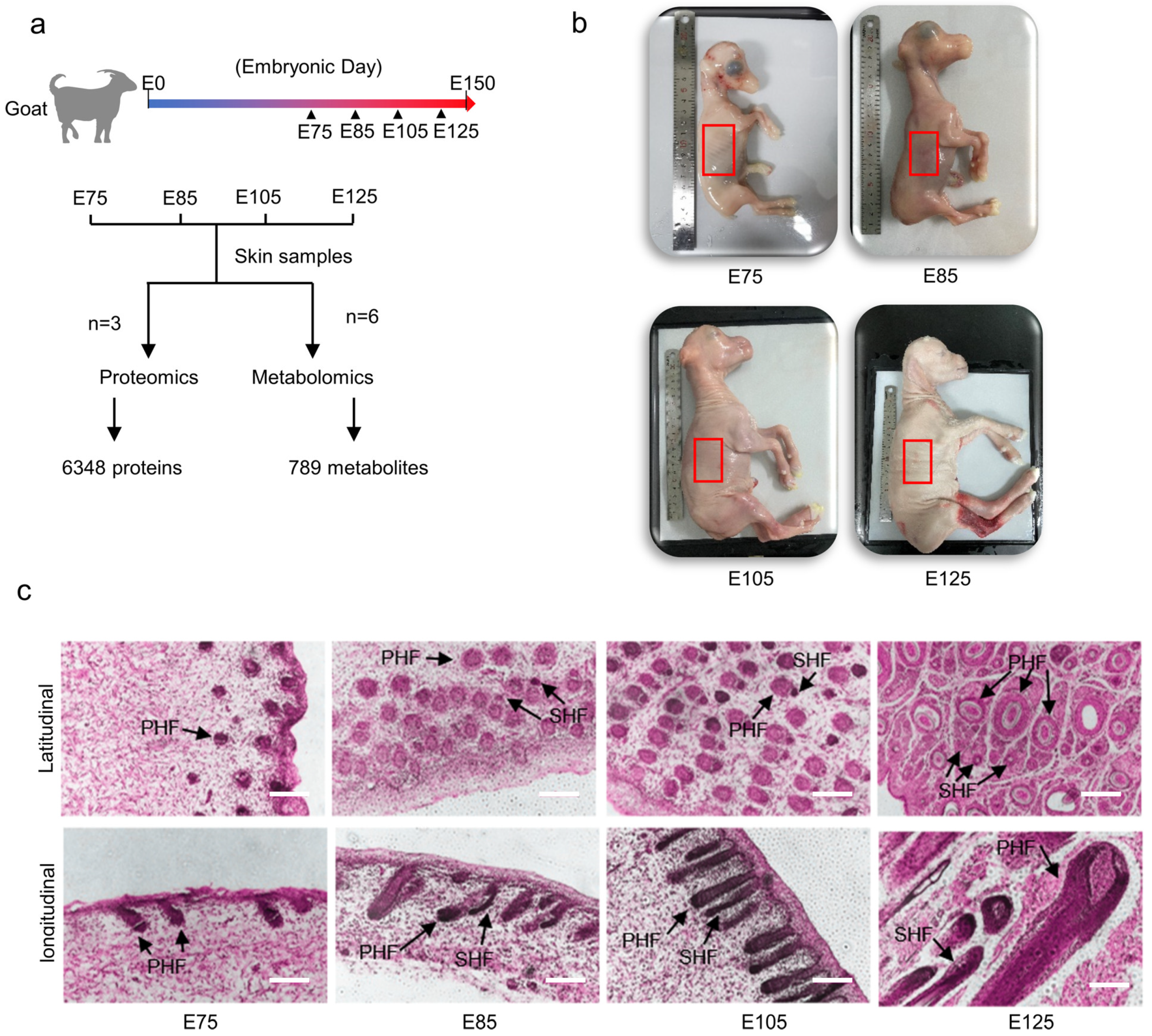Animals 13 03076 g002