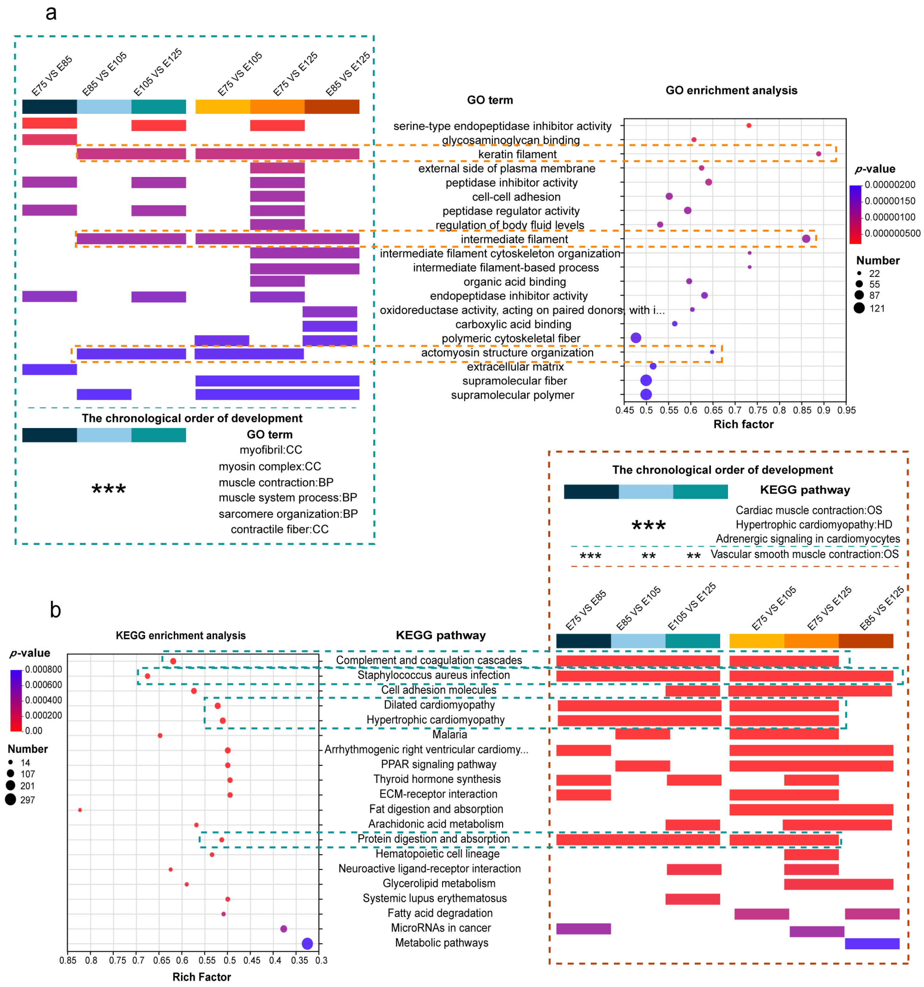 Animals 13 03076 g004