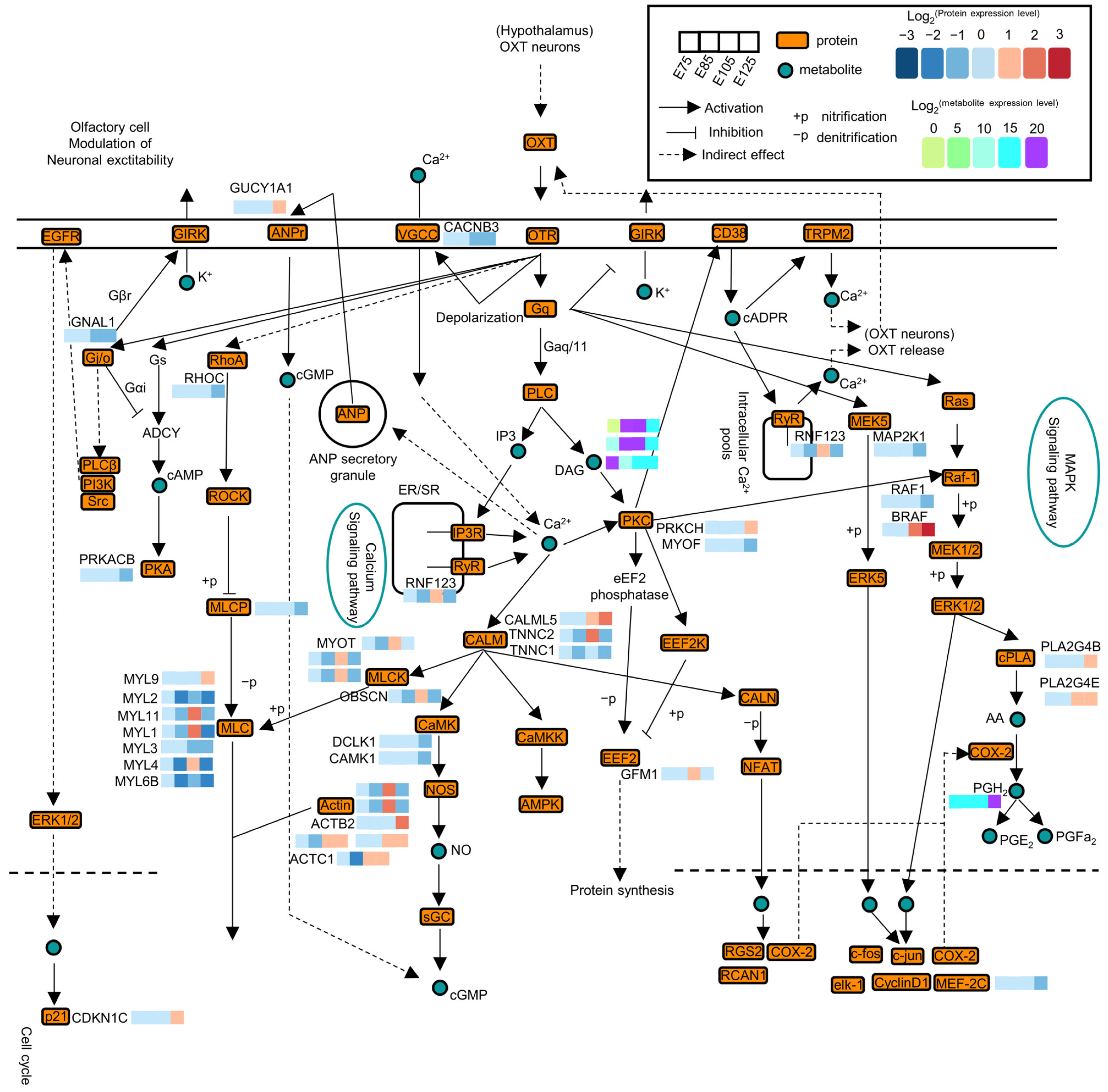 Animals 13 03076 g008