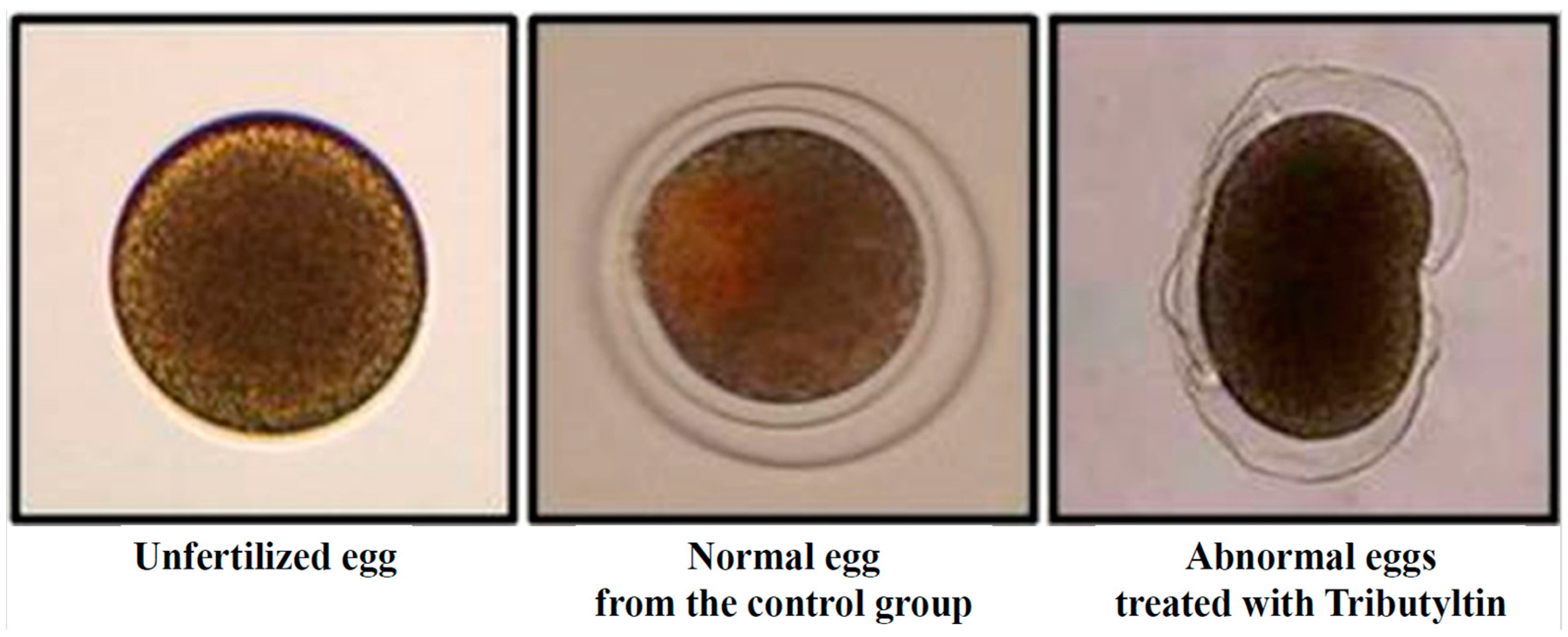 Animals 13 03078 g001