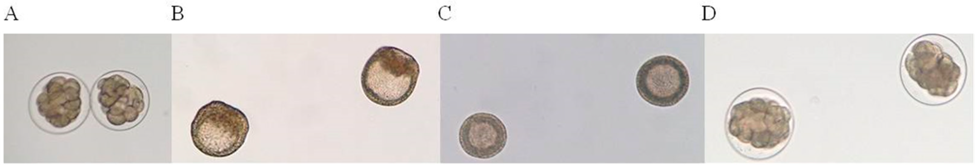 Animals 13 03078 g004