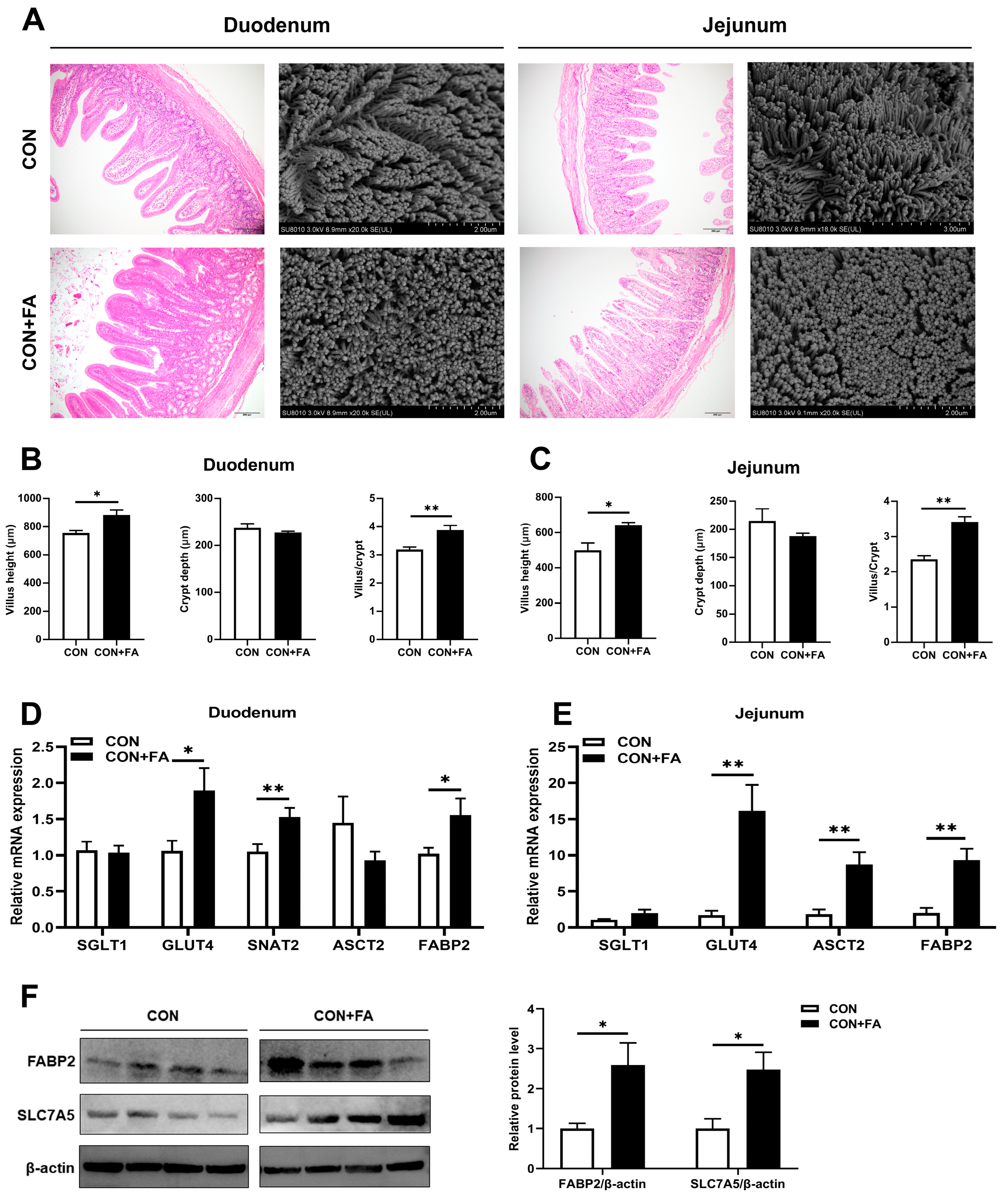 Animals 13 03092 g003
