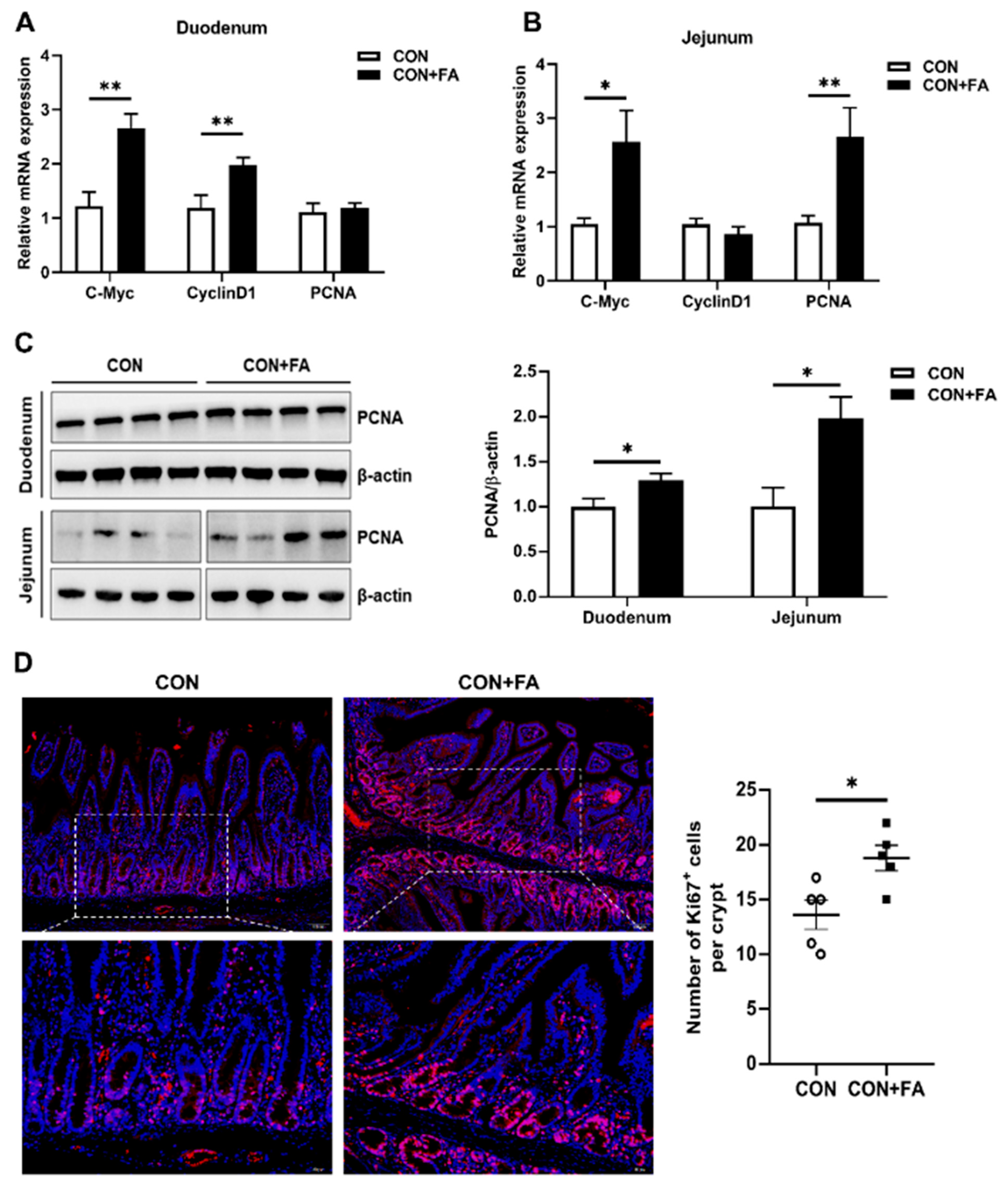Animals 13 03092 g005