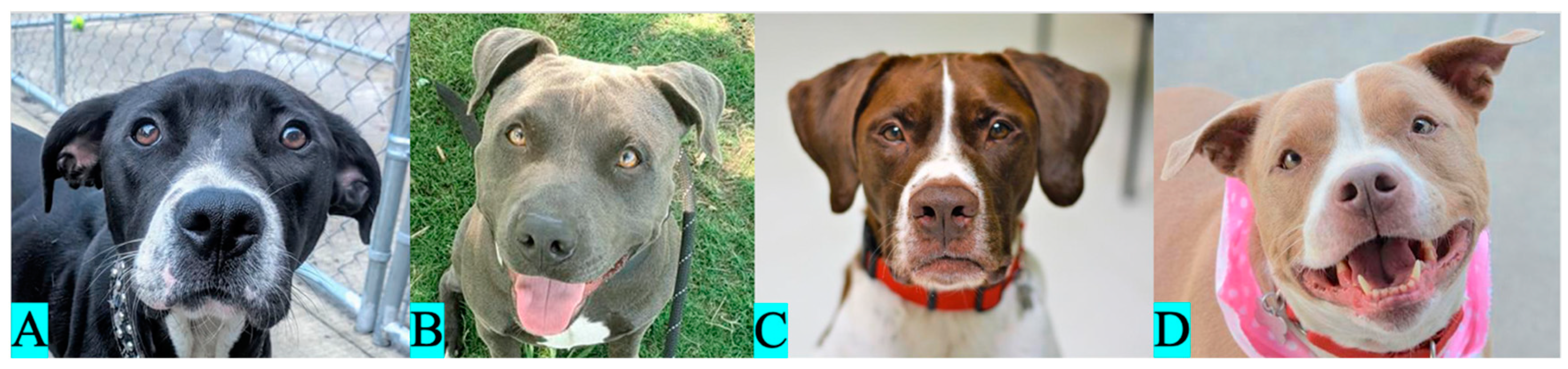 Animals 13 03095 g003 Animals 13 03095 g003