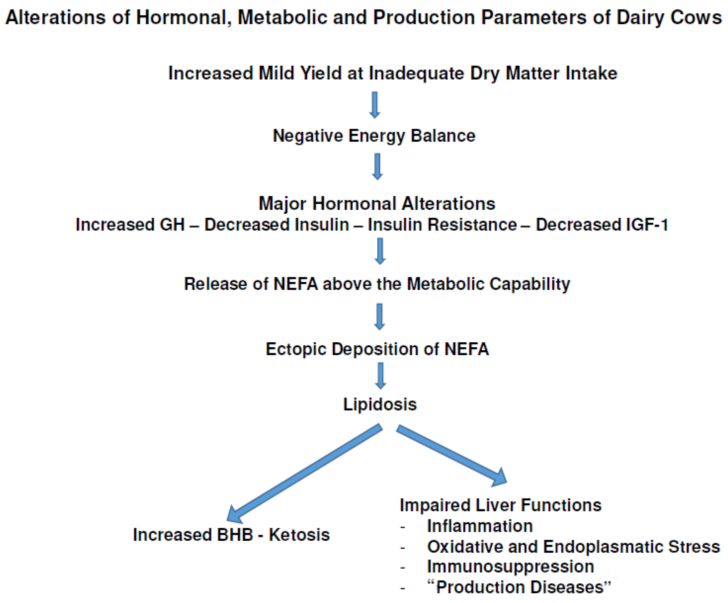 Animals 13 03097 g001