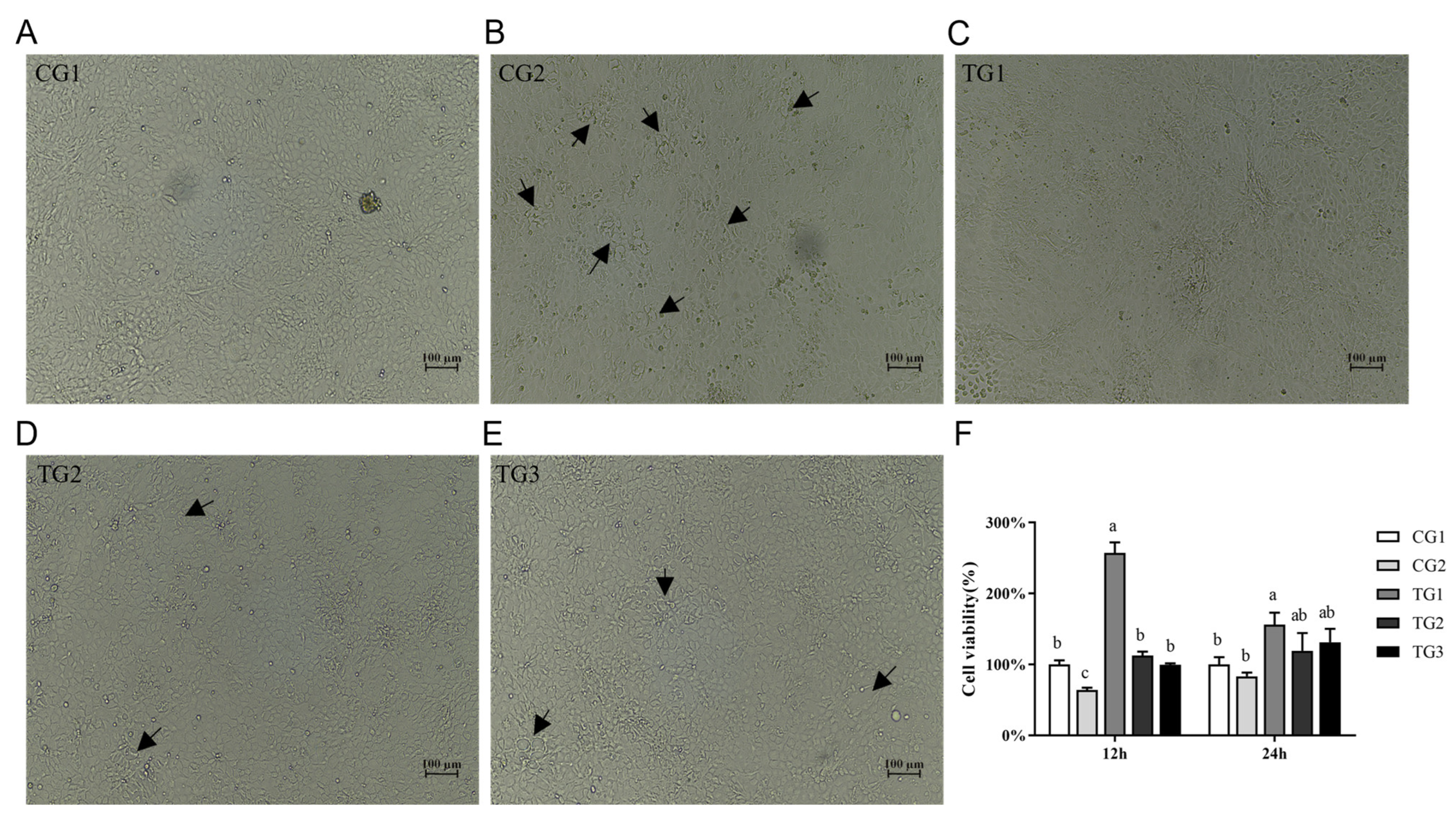 Animals 13 03098 g001