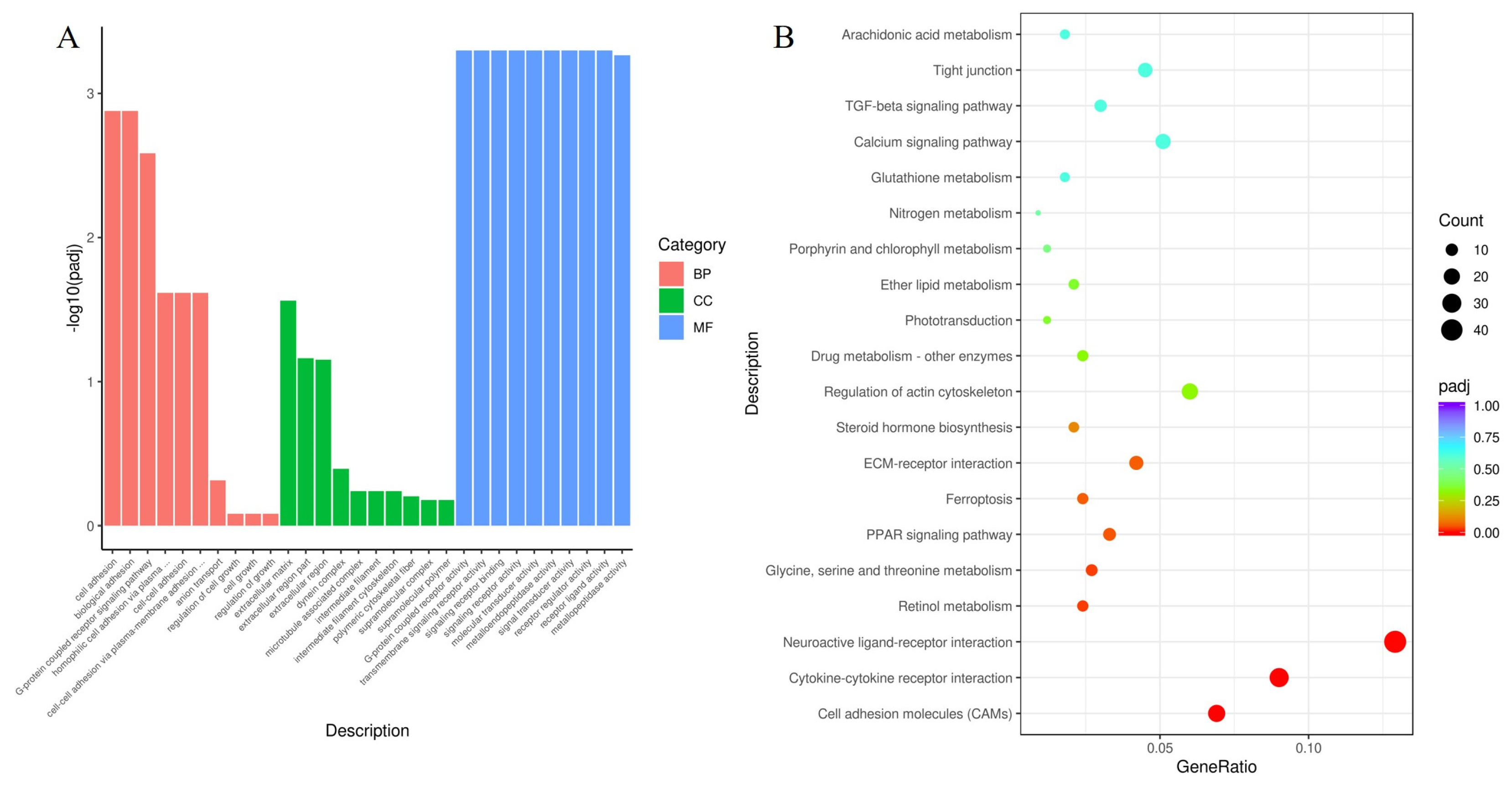 Animals 13 03098 g006