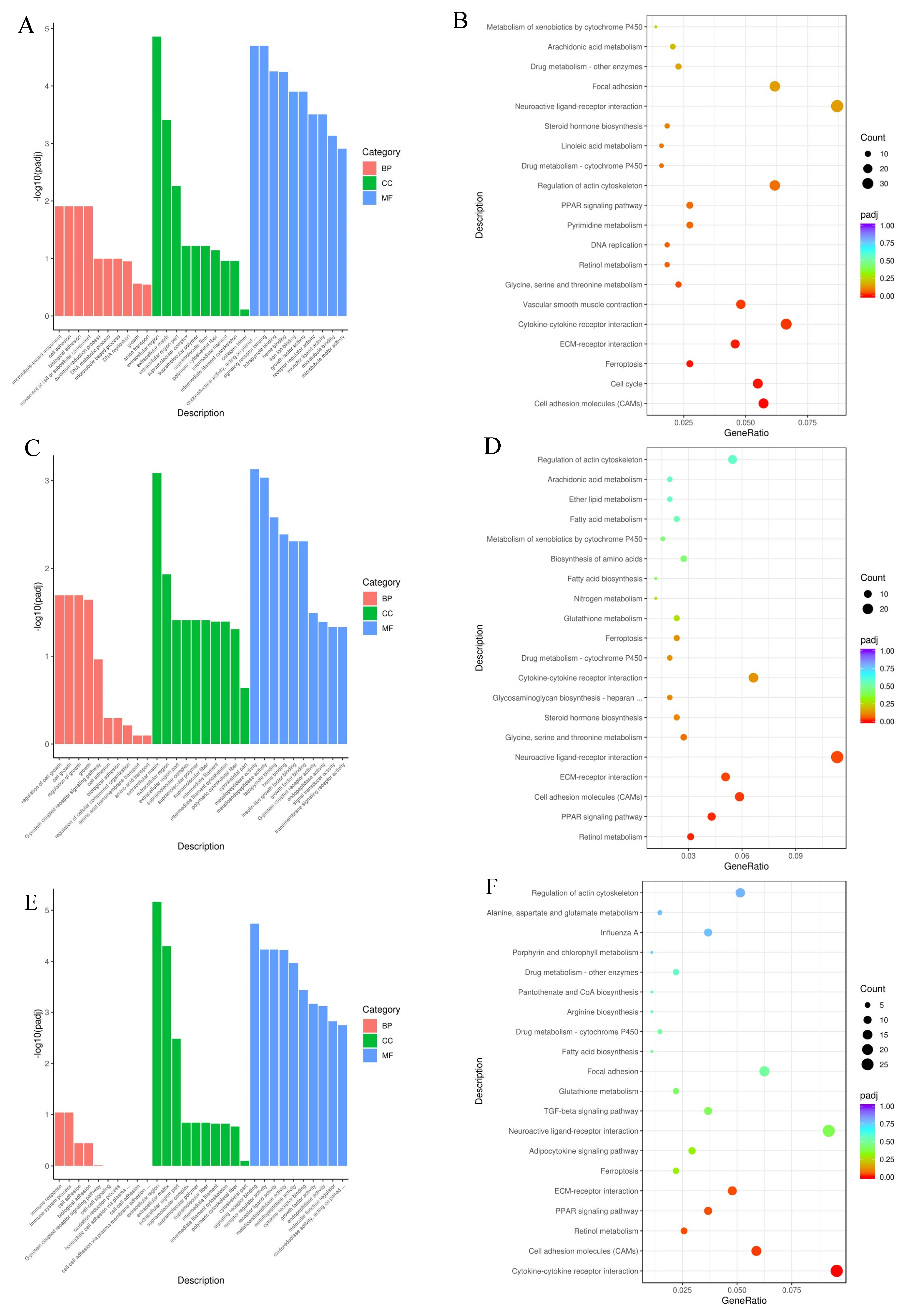 Animals 13 03098 g007