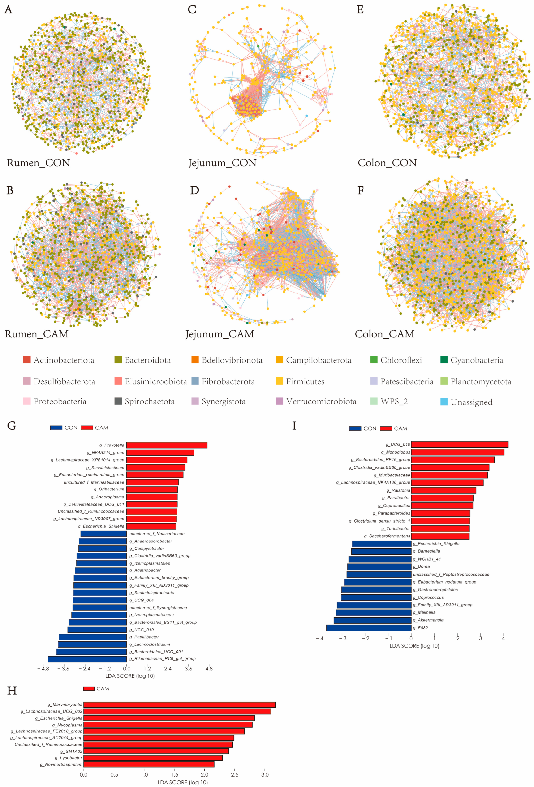 Animals 13 03104 g005