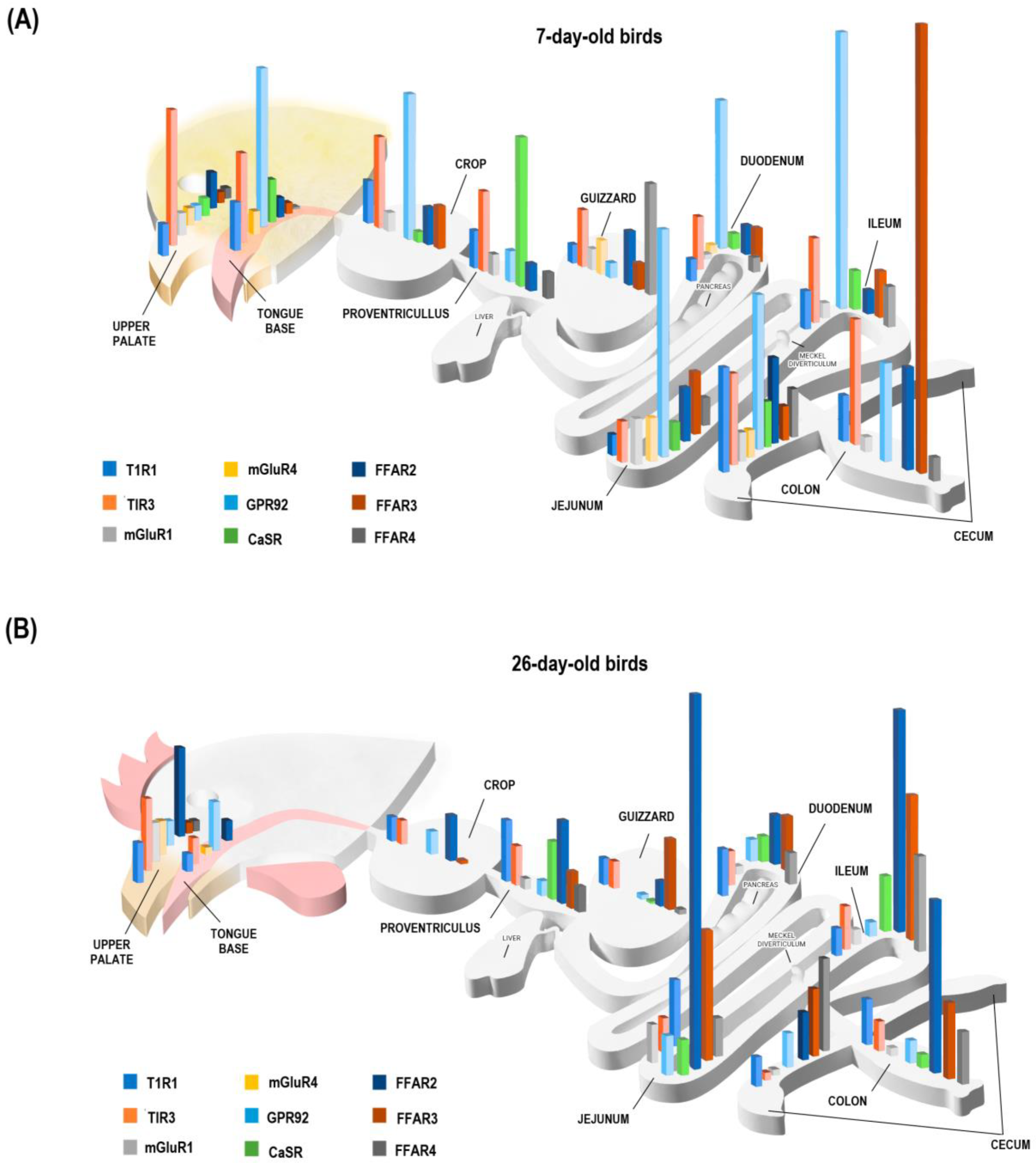 Animals 13 03120 g005