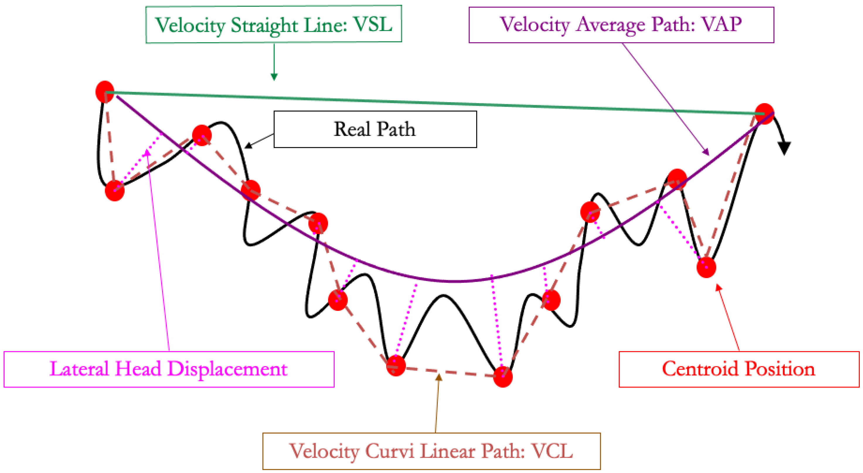 Animals 13 03123 g002 Animals 13 03123 g002