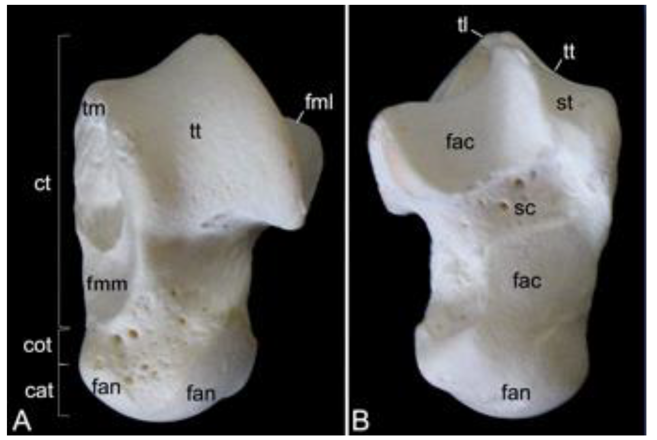 Animals 13 03124 g030