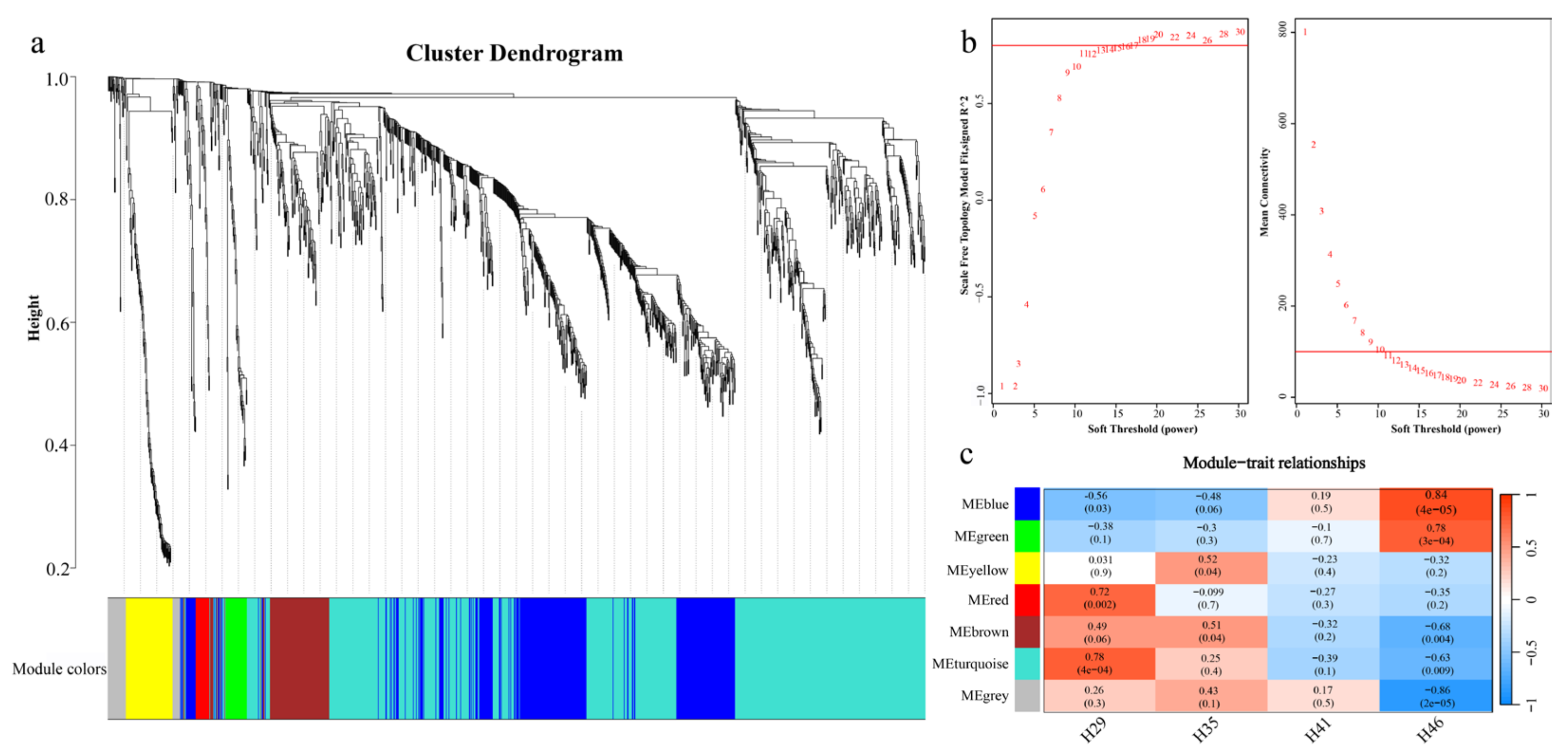 Animals 13 03126 g003 Animals 13 03126 g003