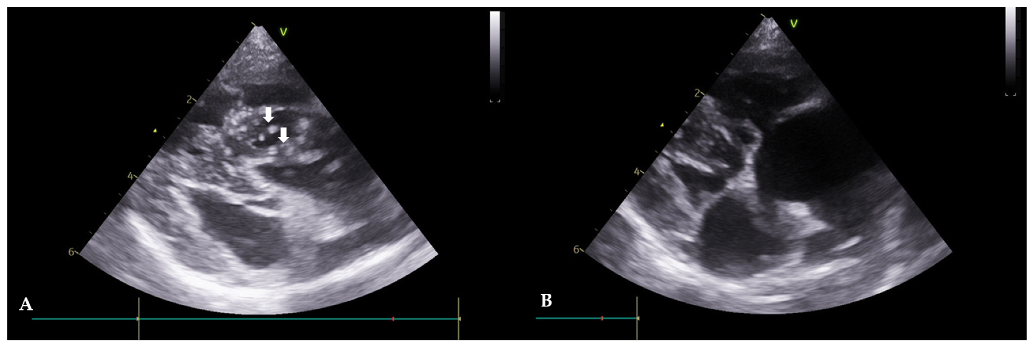Animals 13 03127 g003