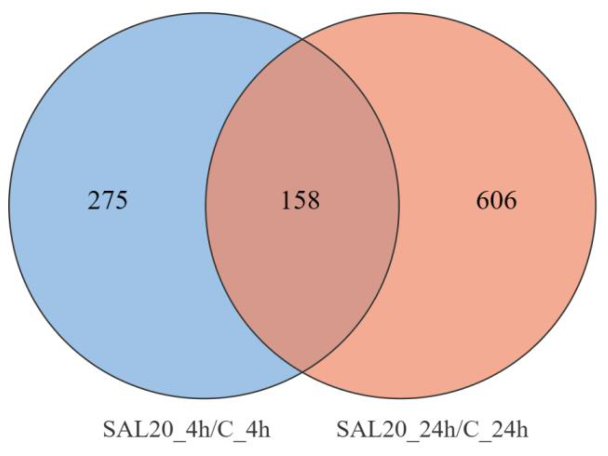 Animals 13 03139 g003