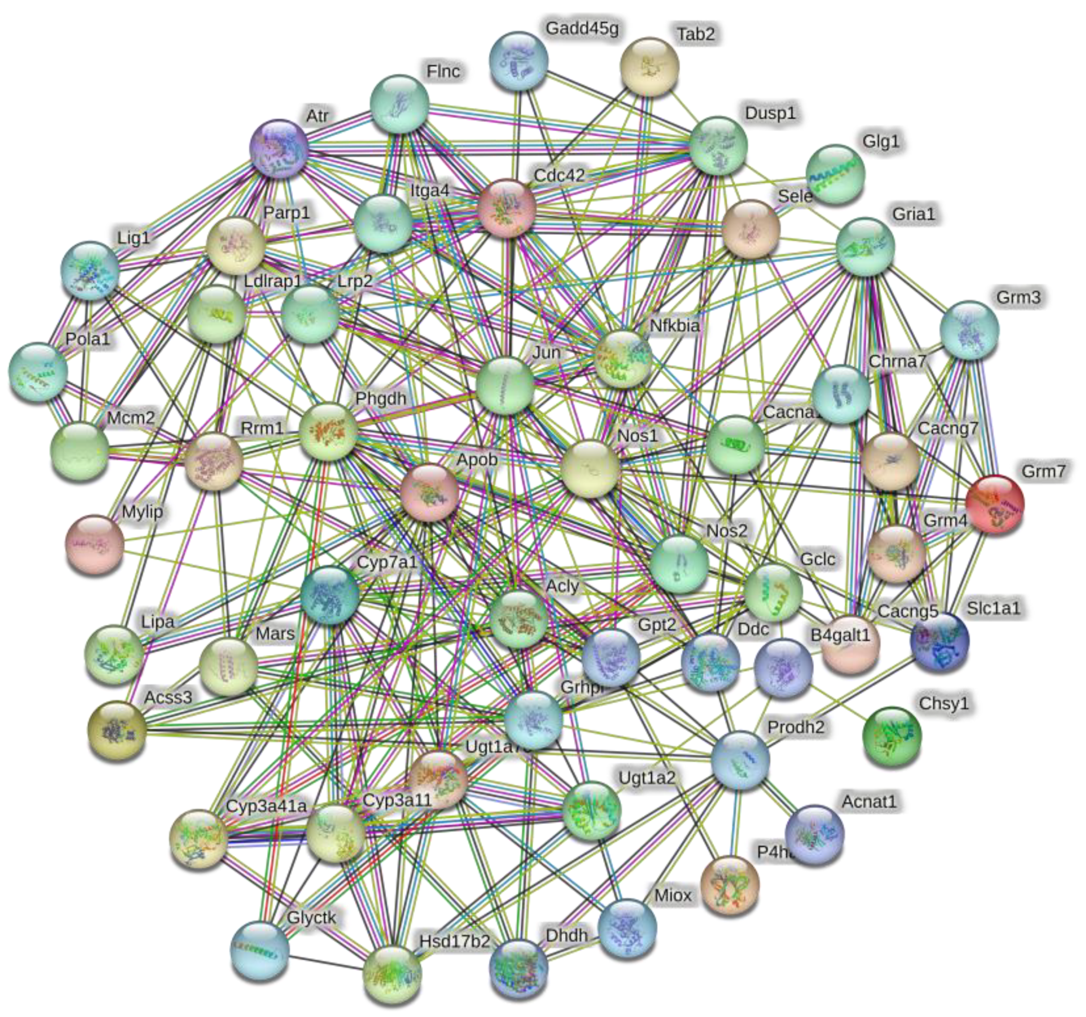 Animals 13 03139 g006