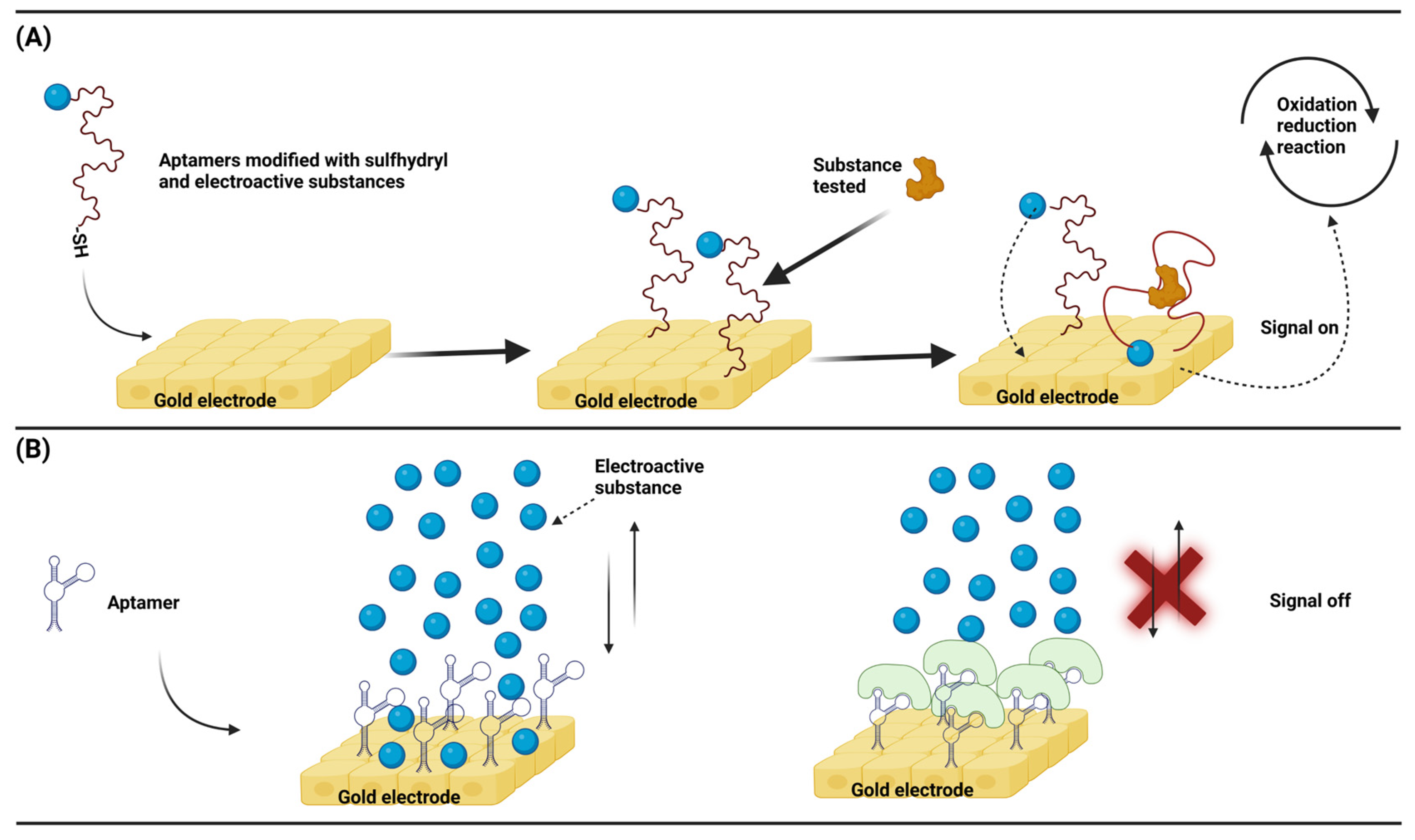 Animals 13 03141 g005
