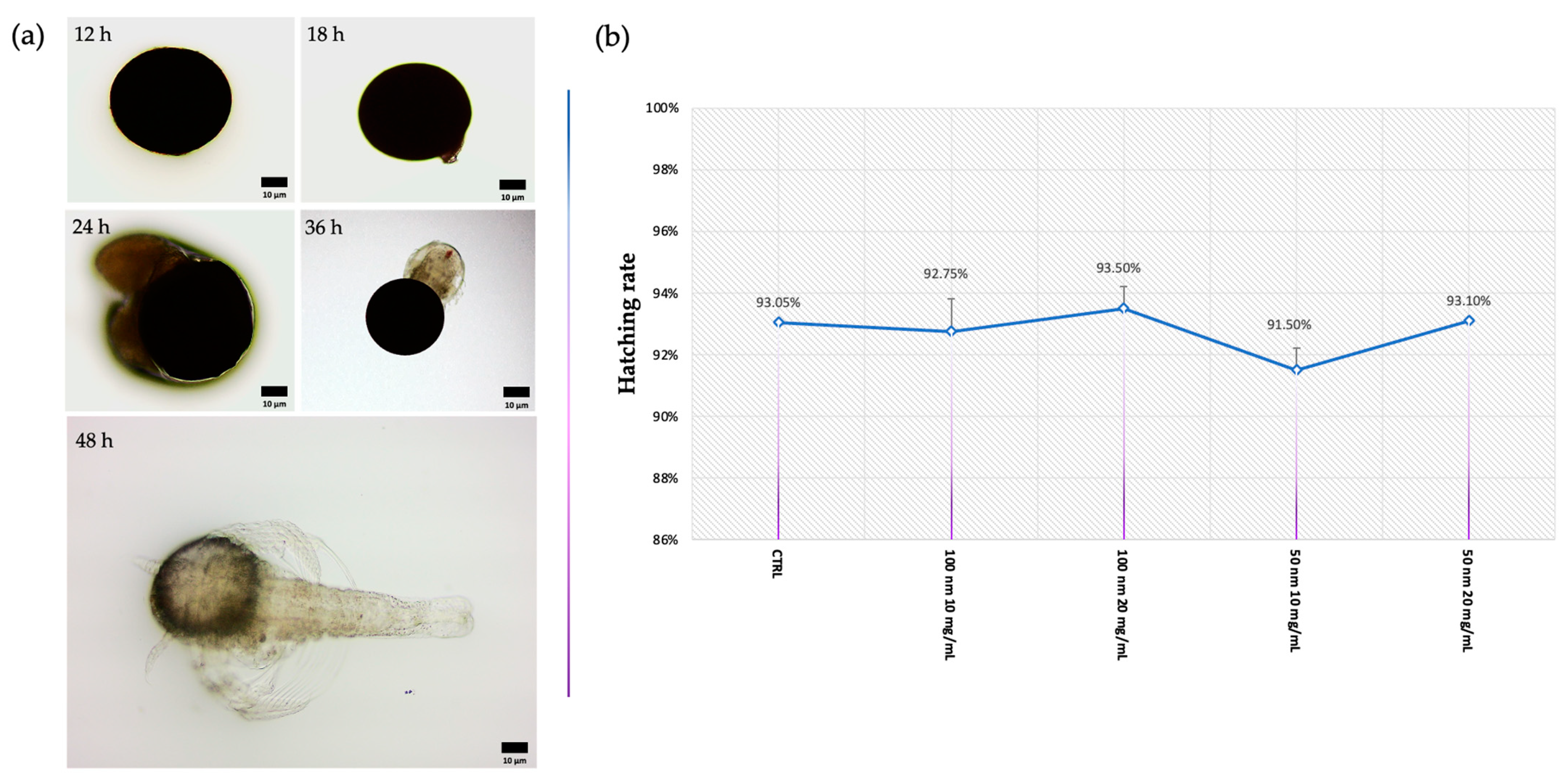 Animals 13 03152 g001